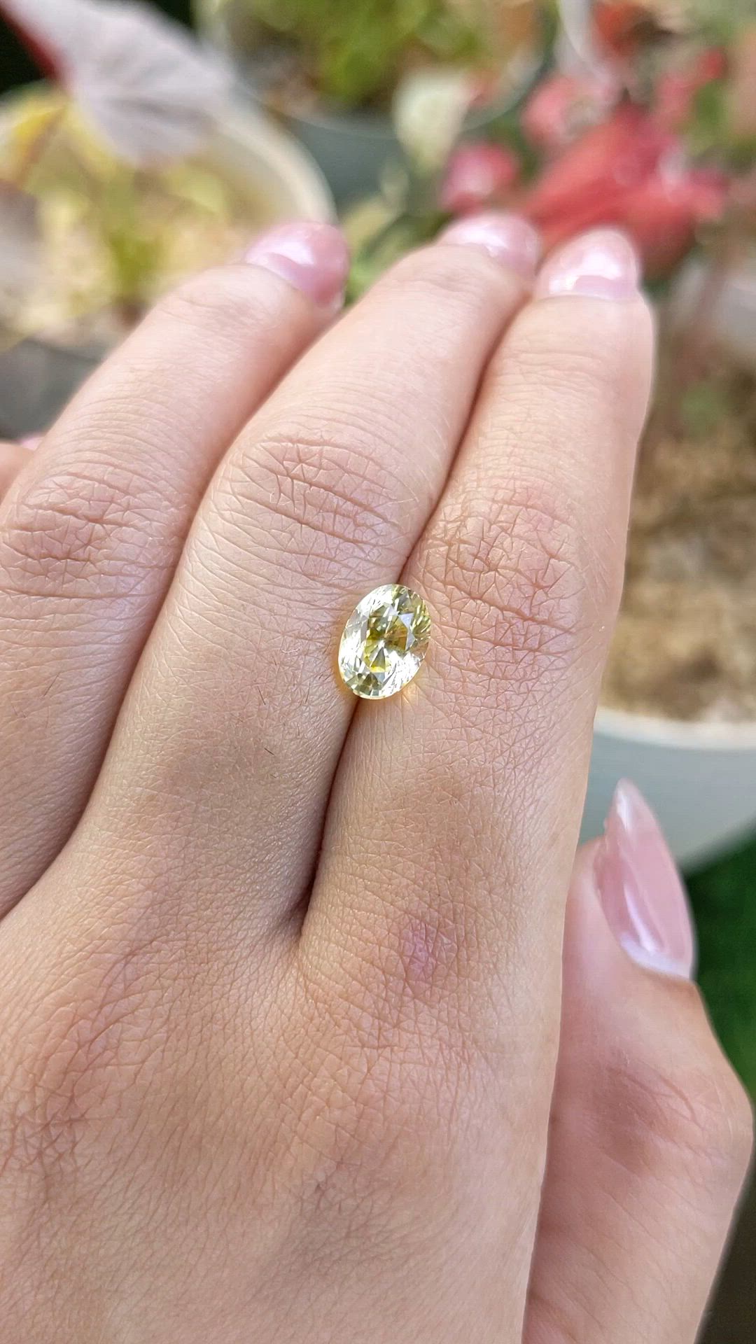 2.37 Ct. Yellow Sapphire from Ceylon (Sri Lanka) Size Video