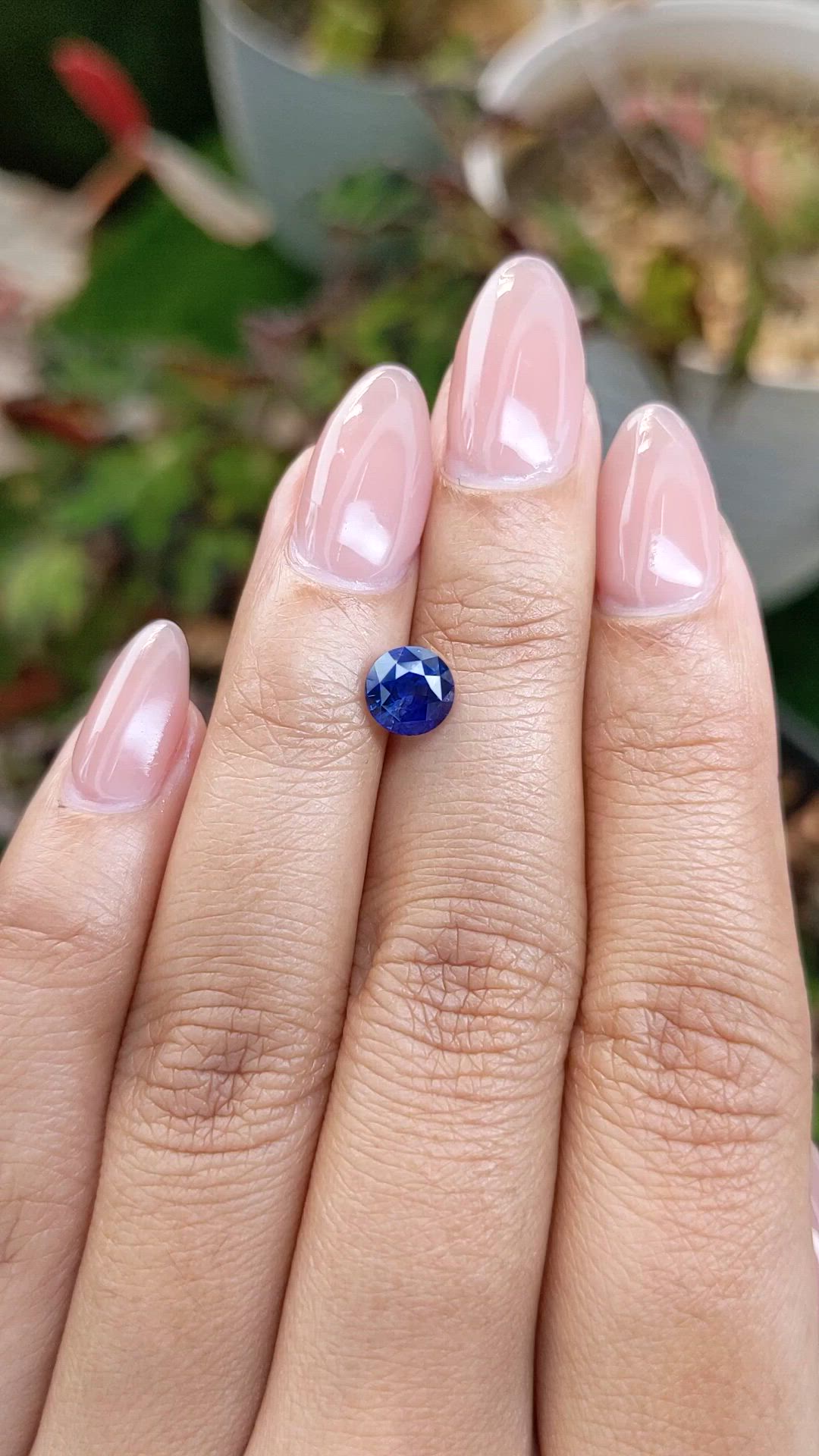 1.42 Ct. Blue Sapphire from Ceylon (Sri Lanka) Size Video