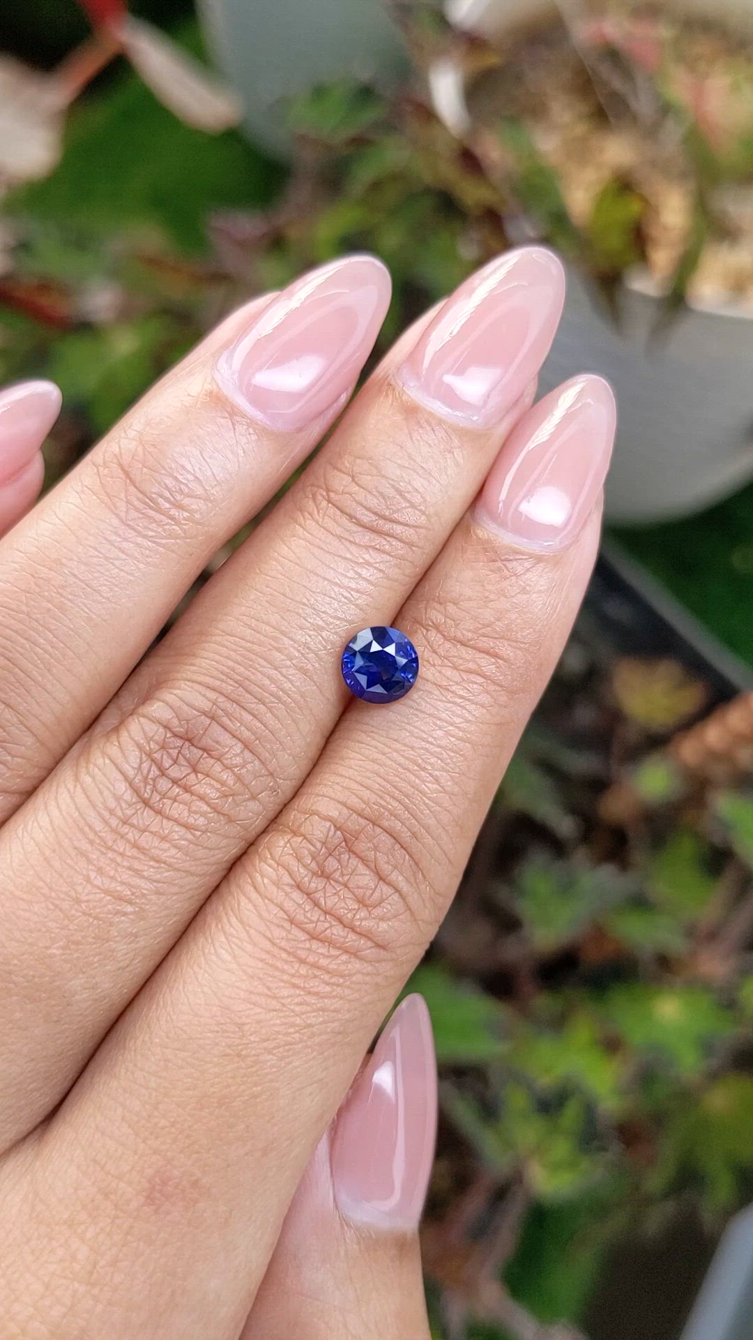 1.42 Ct. Blue Sapphire from Ceylon (Sri Lanka) Size Video