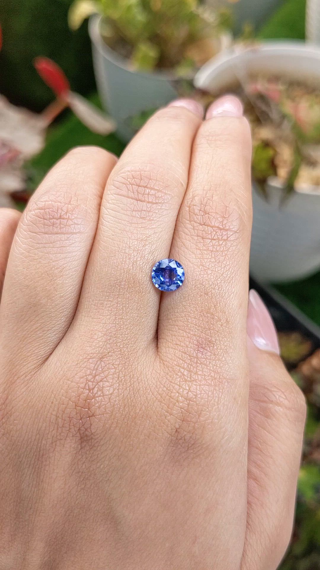 1.35 Ct. Blue Sapphire from Ceylon (Sri Lanka) Size Video