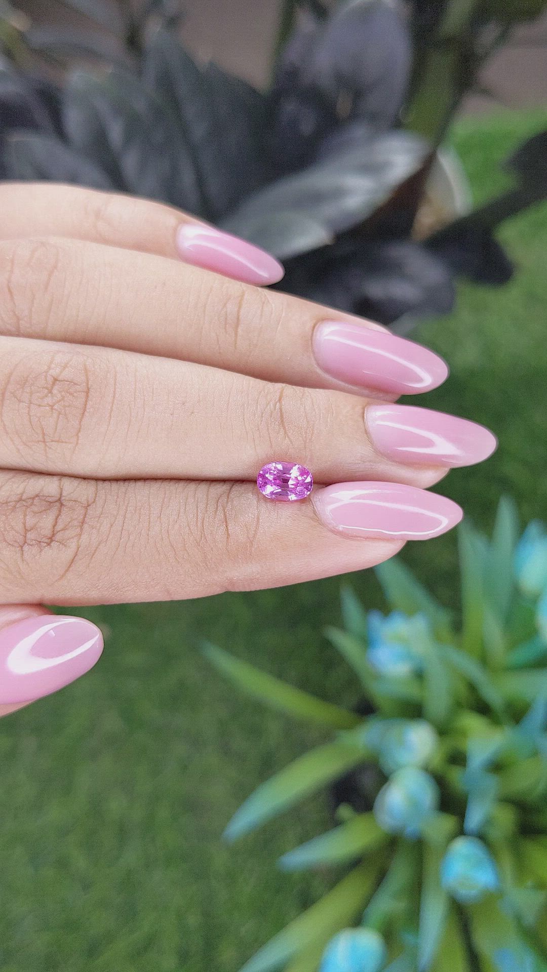 1.03 Ct. Purplish Pink Sapphire from Madagascar Size Video