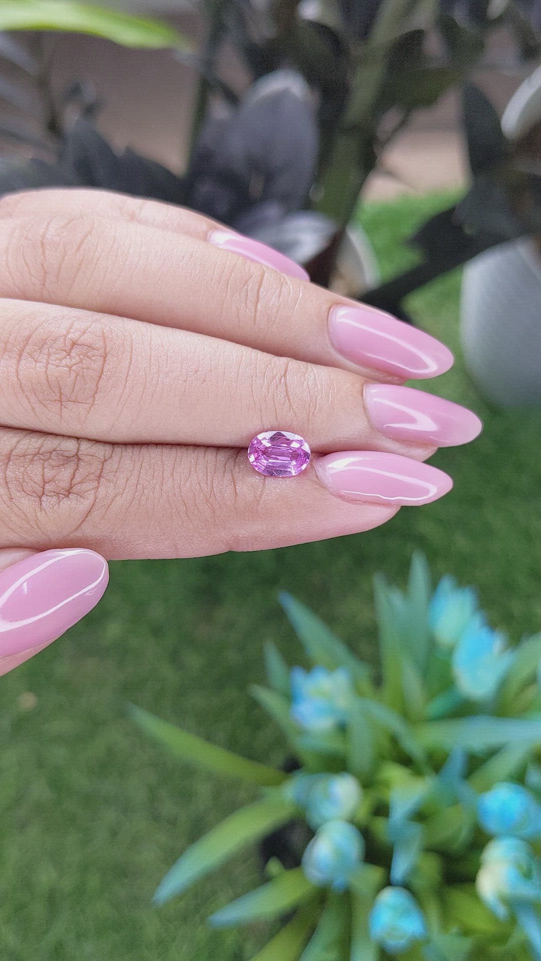 1.16 Ct. Purplish Pink Sapphire from Madagascar Size Video