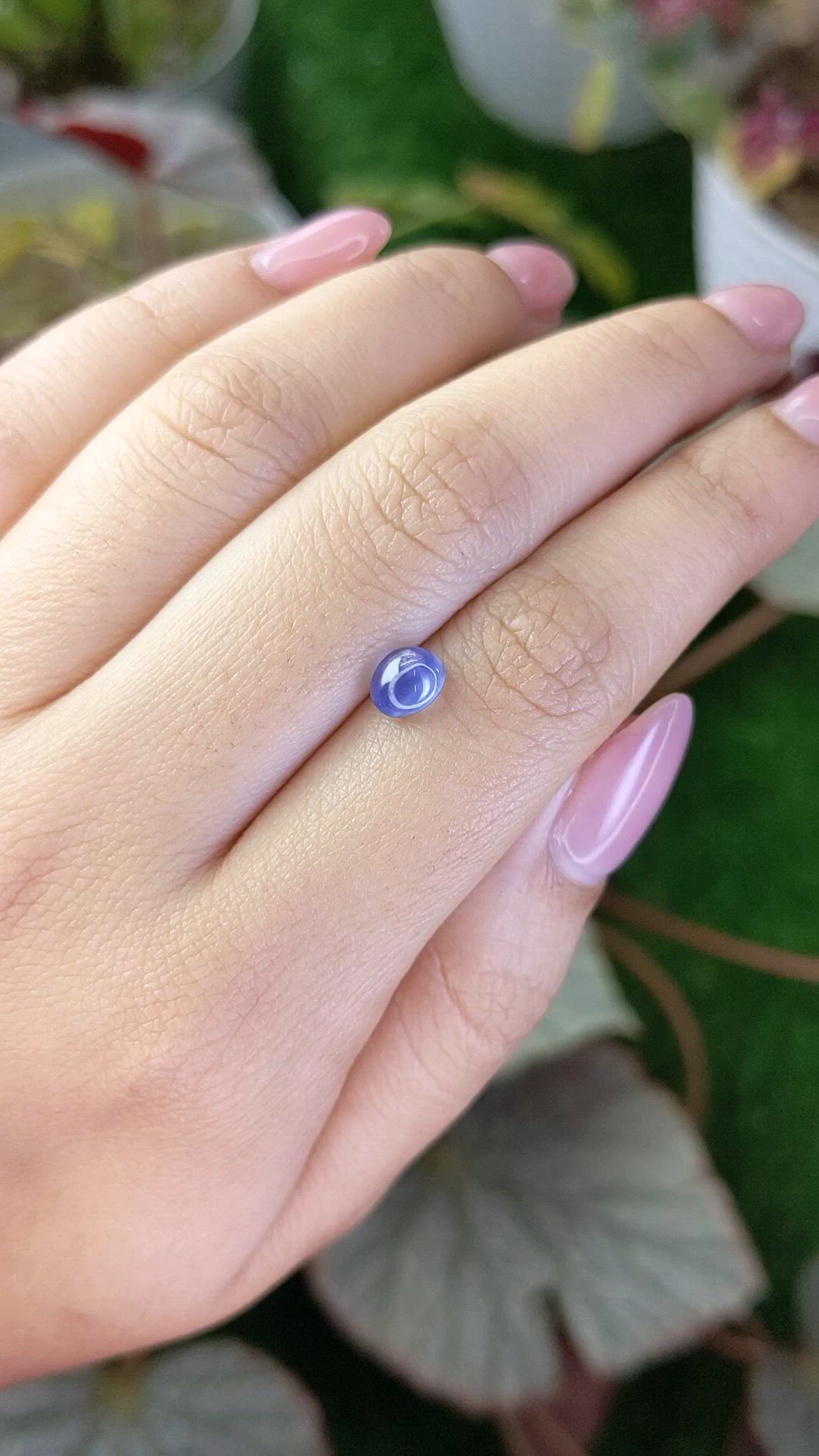 1.56 Ct. Purplish Blue Star Sapphire from Ceylon (Sri Lanka) Size Video