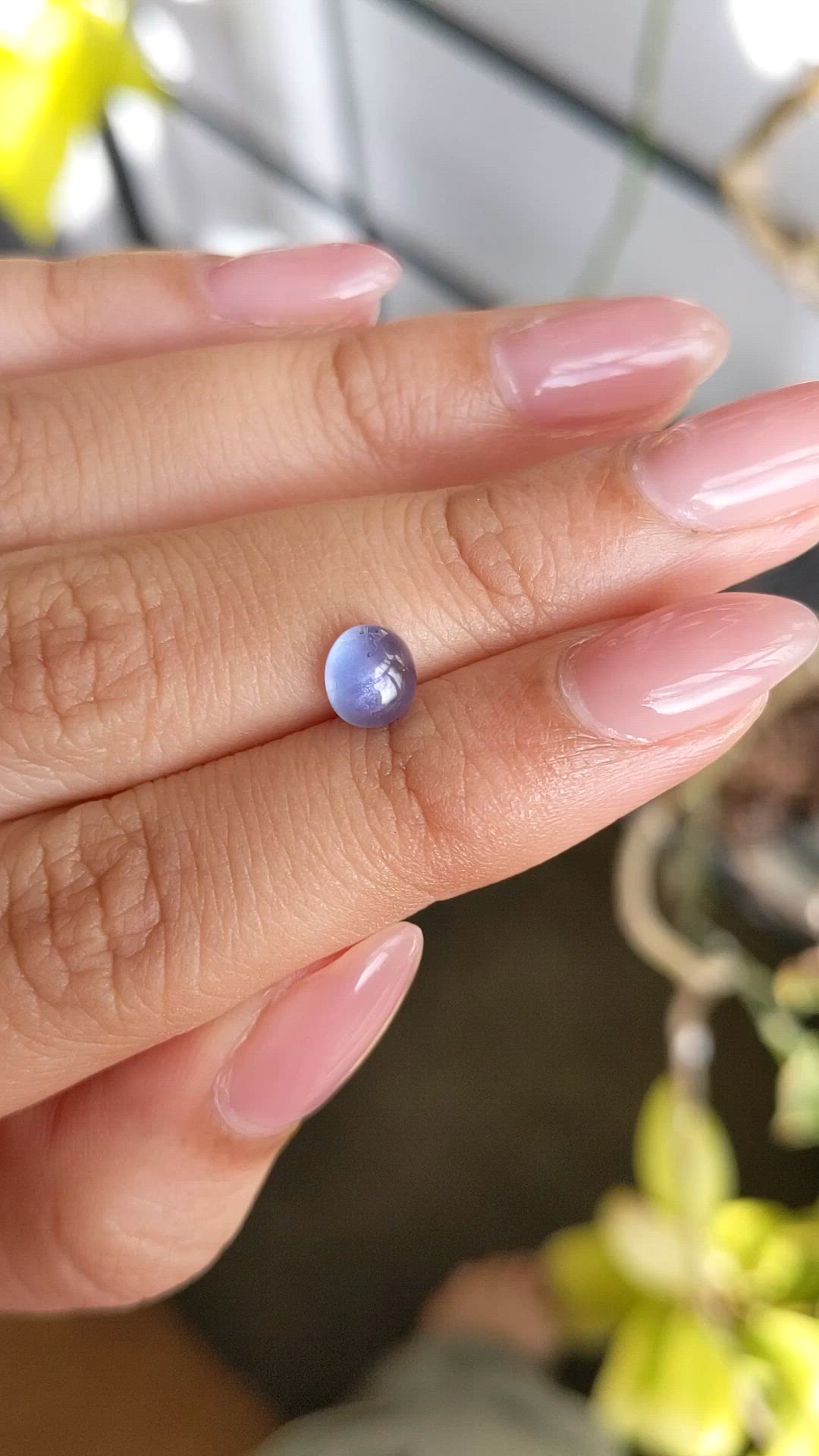 1.56 Ct. Purplish Blue Star Sapphire from Ceylon (Sri Lanka) Size Video