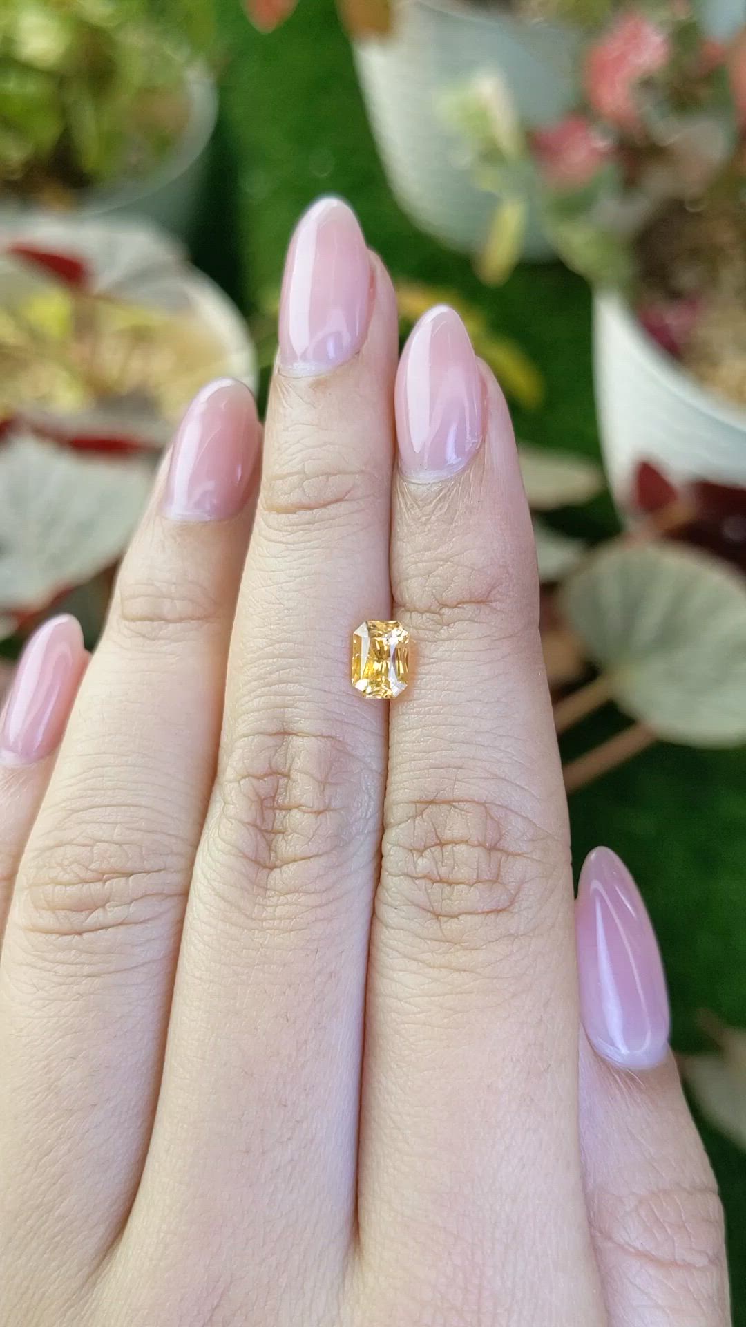 1.27 Ct. Yellow Sapphire from Ceylon (Sri Lanka) Size Video