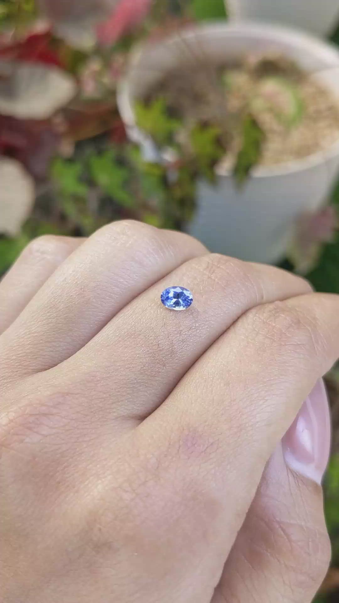 0.50 Ct. Blue Sapphire from Ceylon (Sri Lanka) Size Video