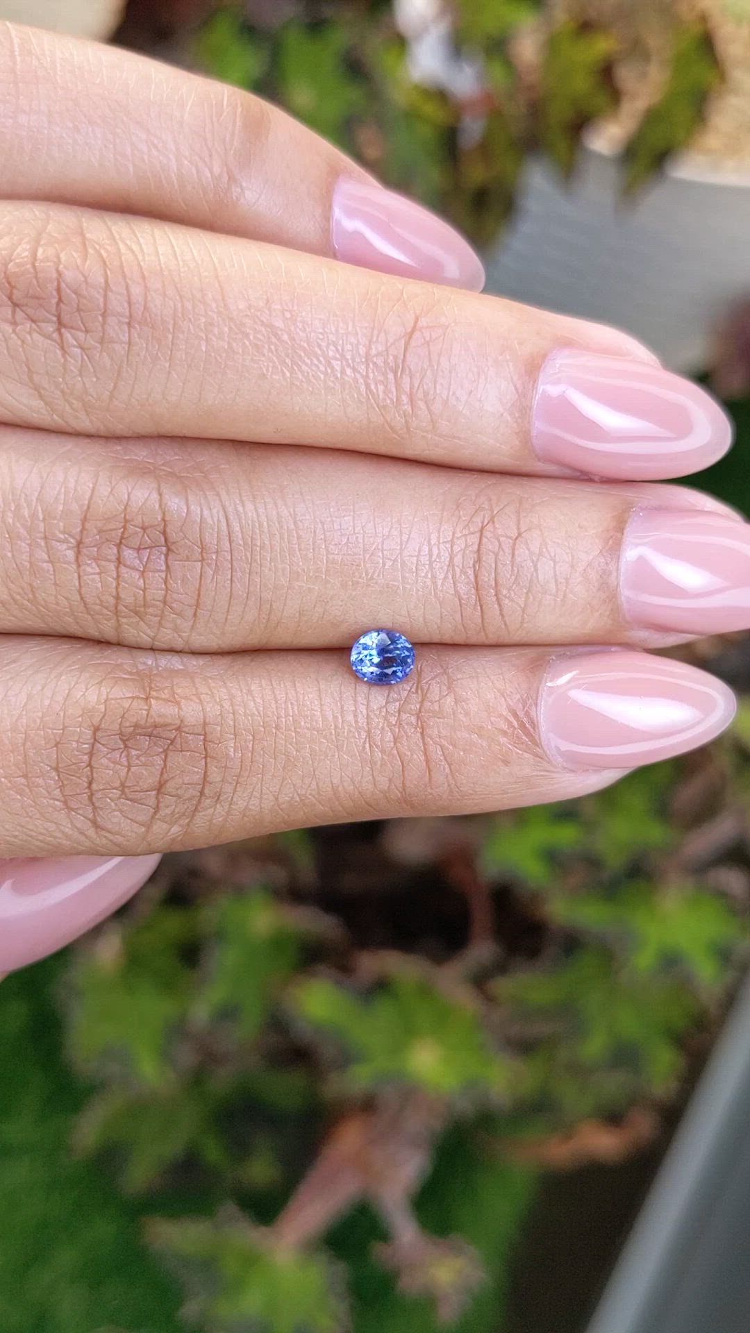 0.51 Ct. Blue Sapphire from Ceylon (Sri Lanka) Size Video