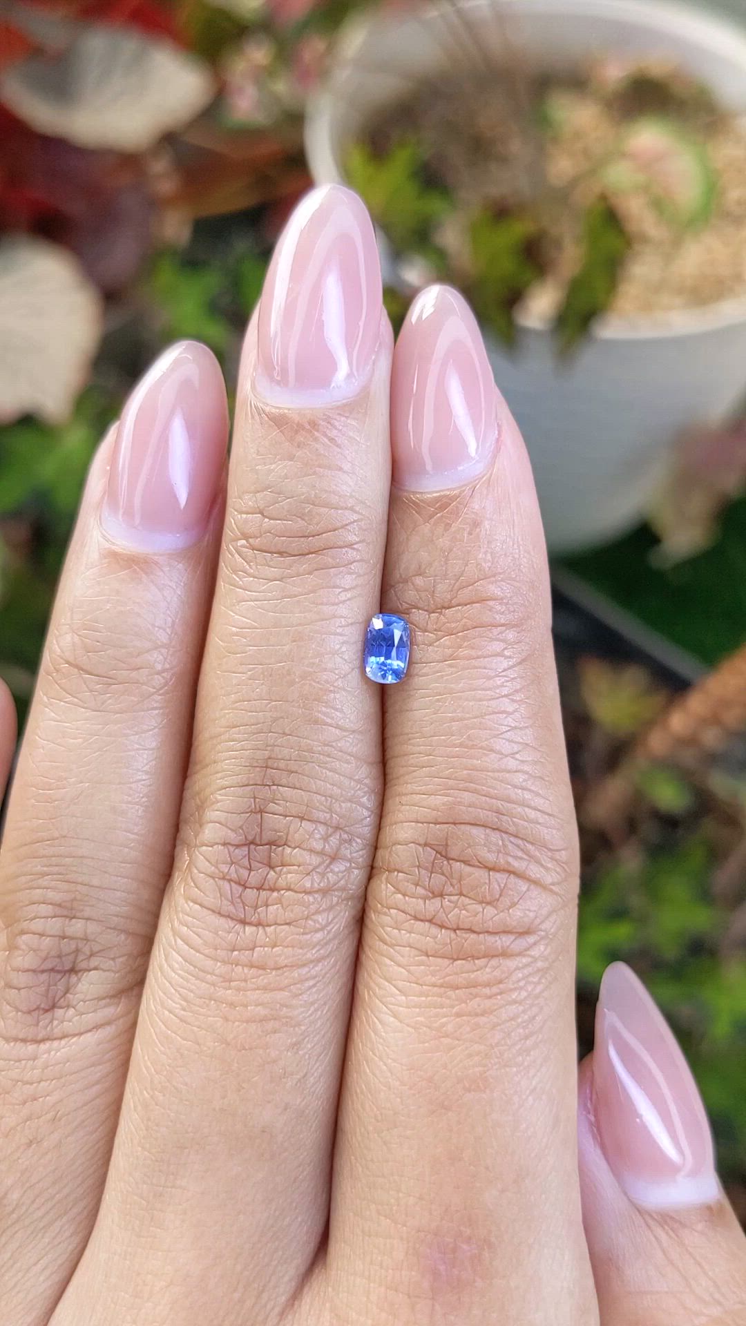 0.51 Ct. Blue Sapphire from Ceylon (Sri Lanka) Size Video