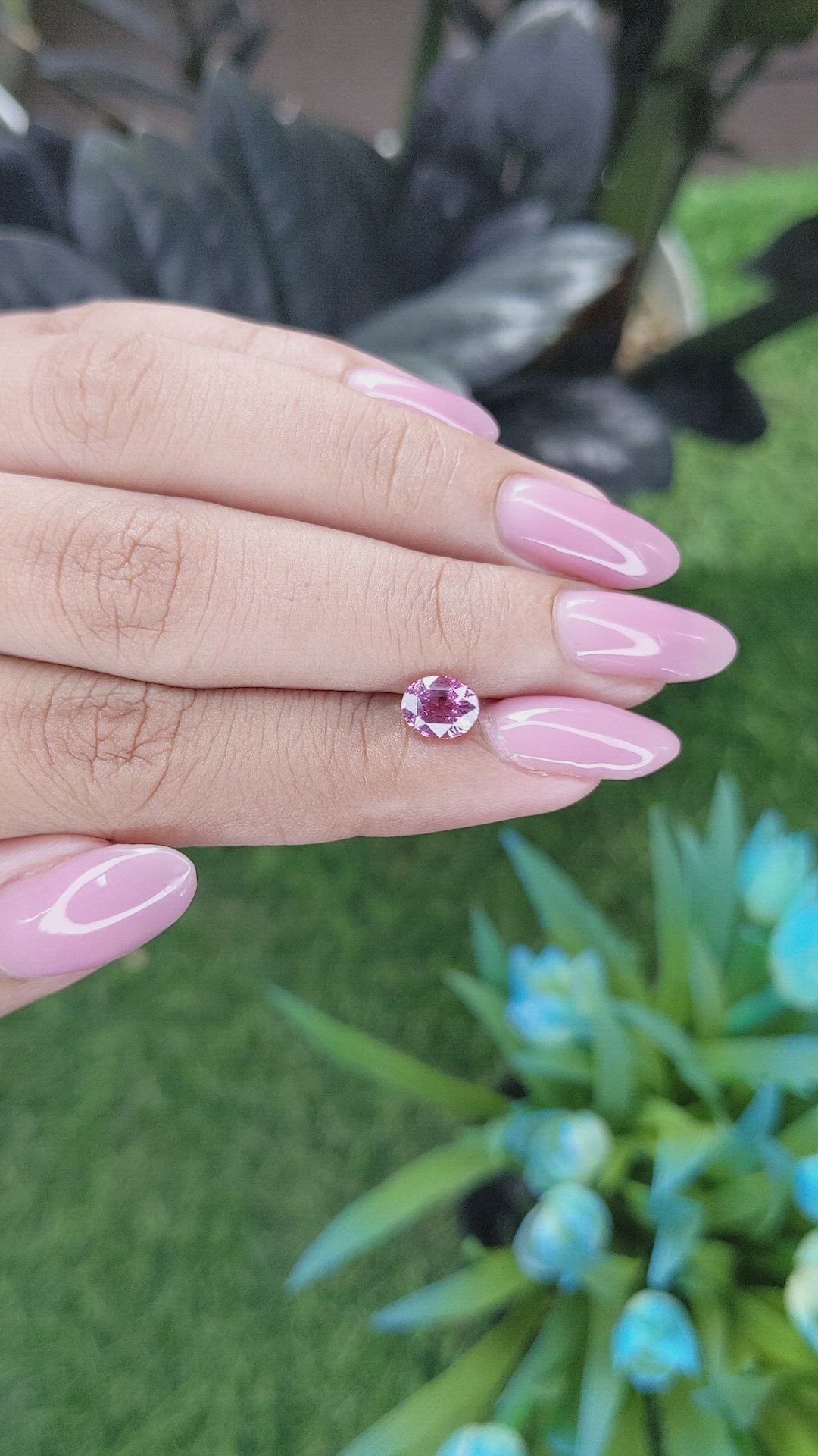 1.14 Ct. Purplish Pink Sapphire from Madagascar Size Video