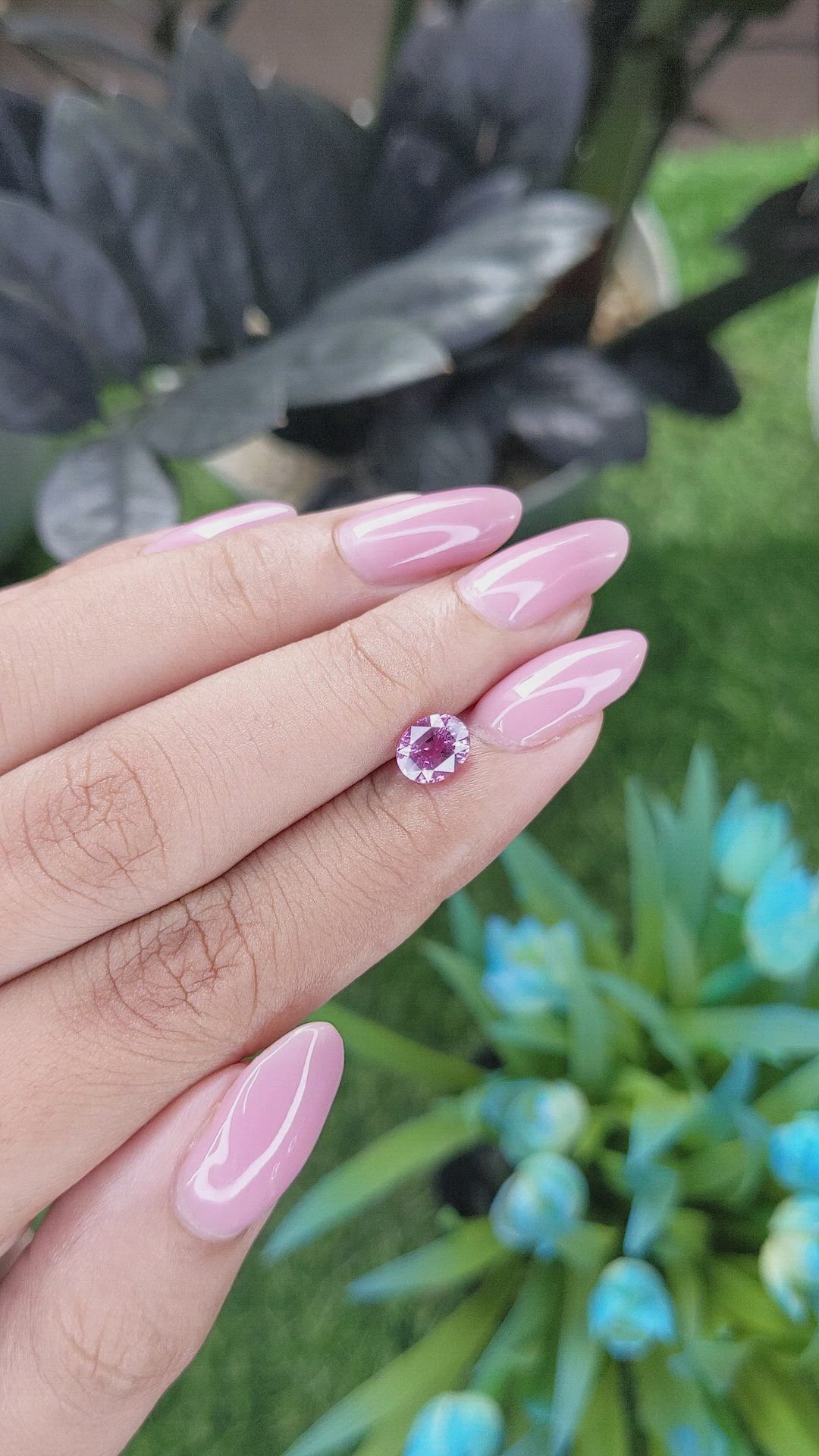 1.14 Ct. Purplish Pink Sapphire from Madagascar Size Video