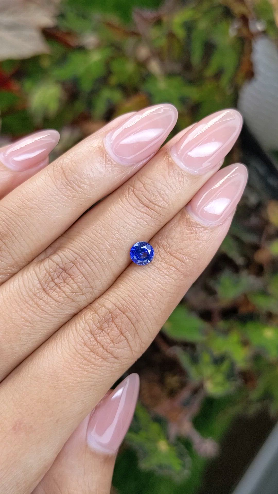 0.71 Ct. Blue Sapphire from Ceylon (Sri Lanka) Size Video