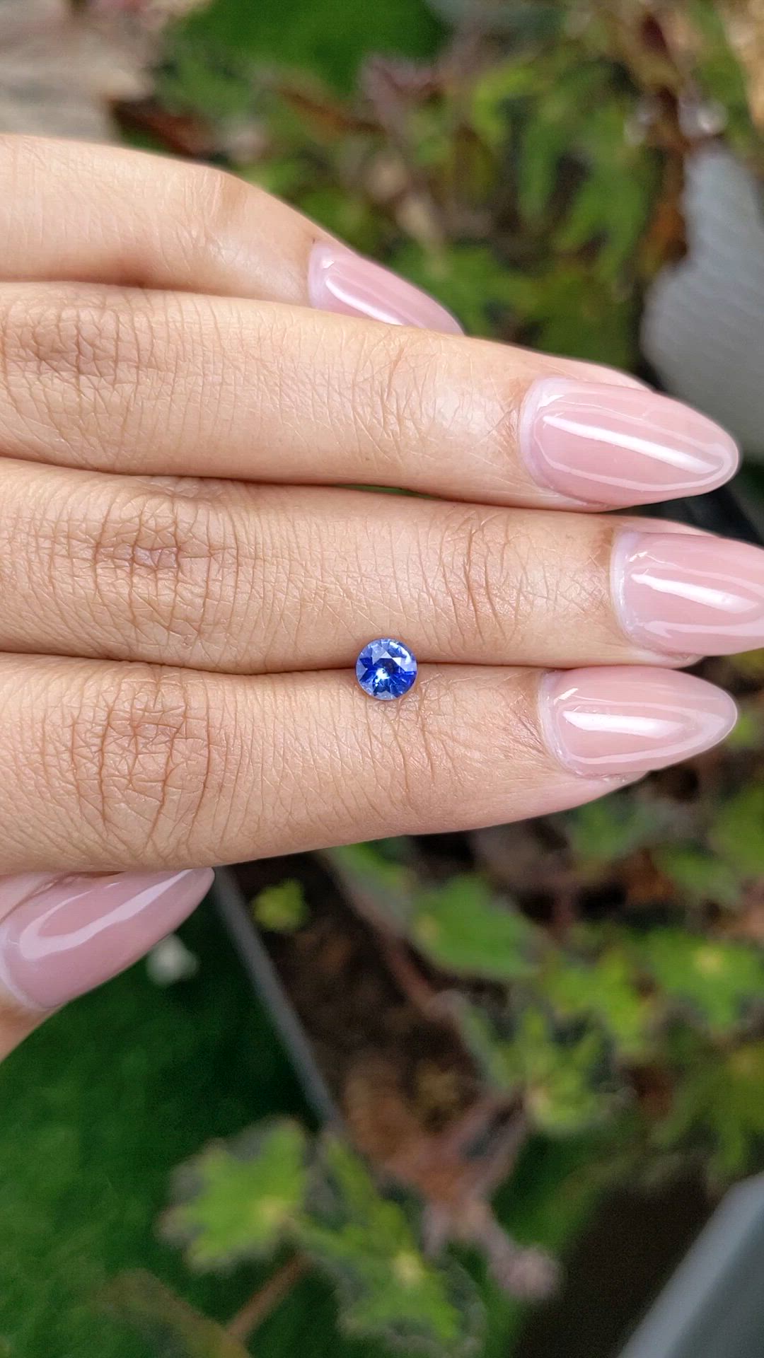 0.53 Ct. Blue Sapphire from Ceylon (Sri Lanka) Size Video