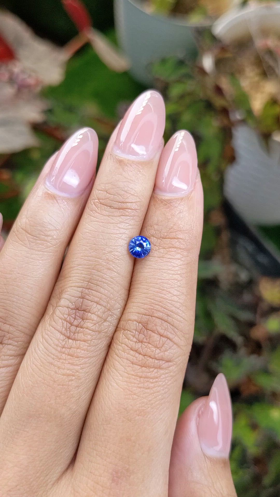 0.53 Ct. Blue Sapphire from Ceylon (Sri Lanka) Size Video