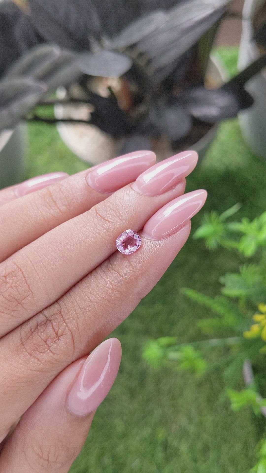 0.81 Ct. Pink Sapphire from Tanzania Size Video