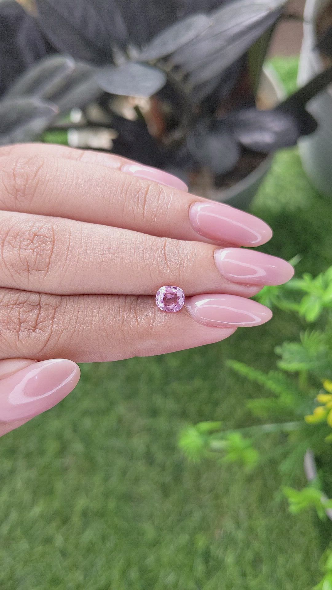 0.81 Ct. Pink Sapphire from Tanzania Size Video