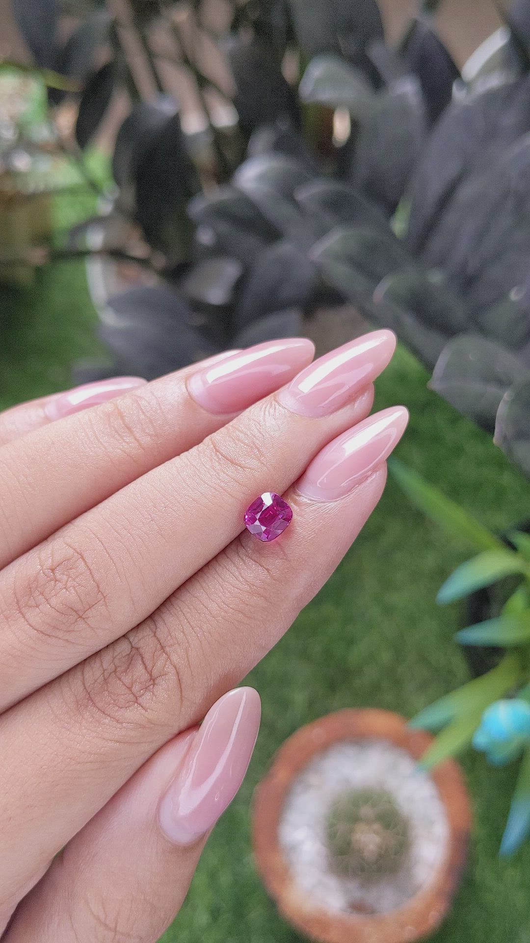 1.52 Ct. Purplish Pink Sapphire from Ceylon (Sri Lanka) Size Video