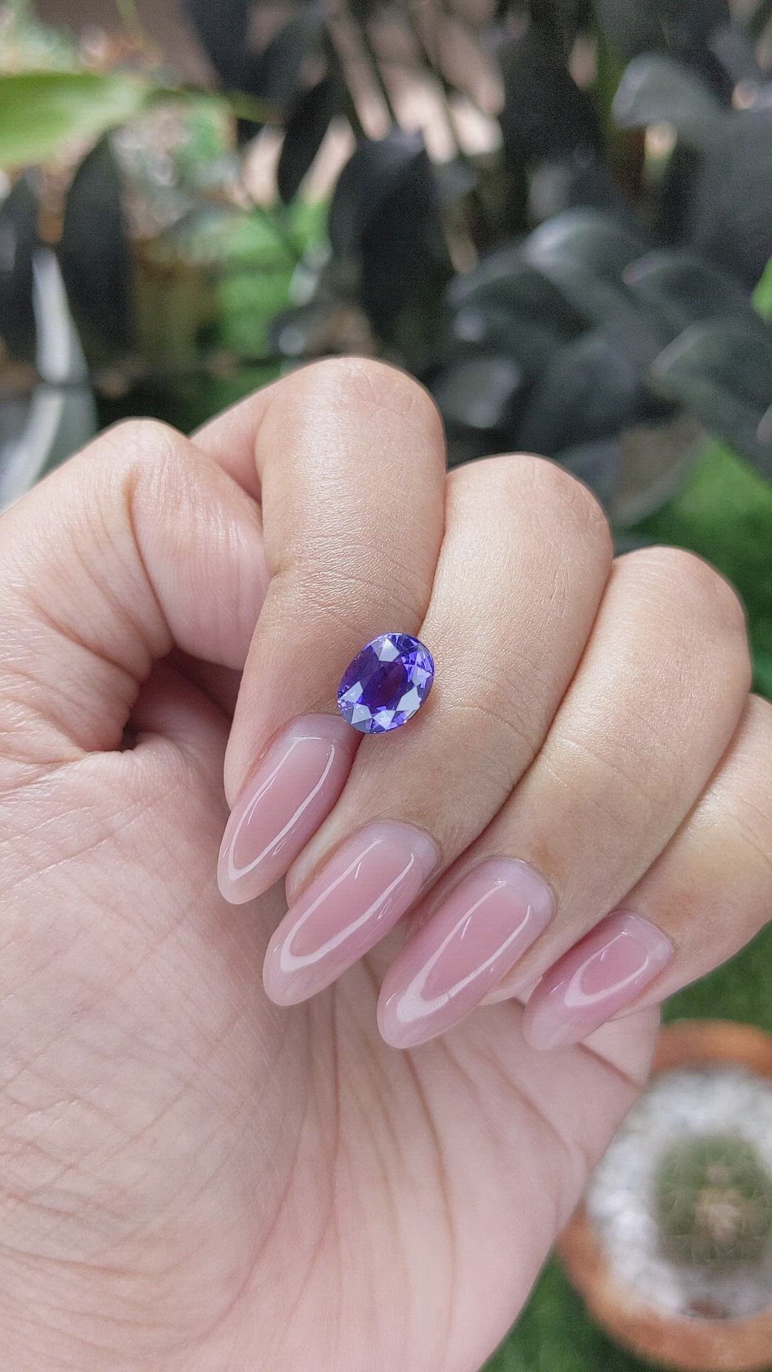 2.60 Ct. Bluish Purple Sapphire from Ceylon (Sri Lanka) Size Video