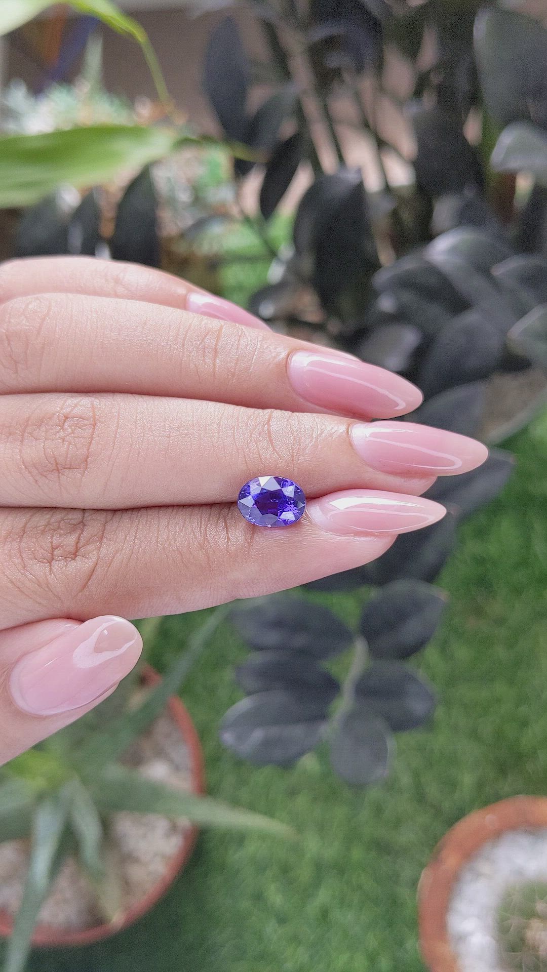 2.60 Ct. Bluish Purple Sapphire from Ceylon (Sri Lanka) Size Video