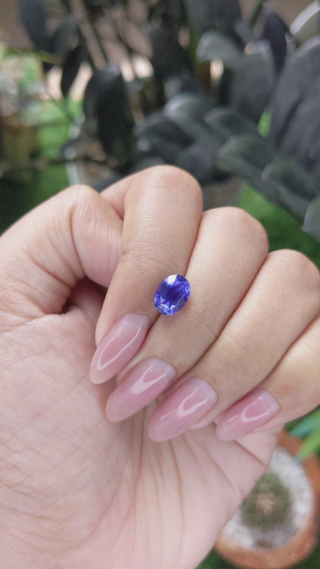 2.59 Ct. Bluish Purple Sapphire from Ceylon (Sri Lanka) Size Video