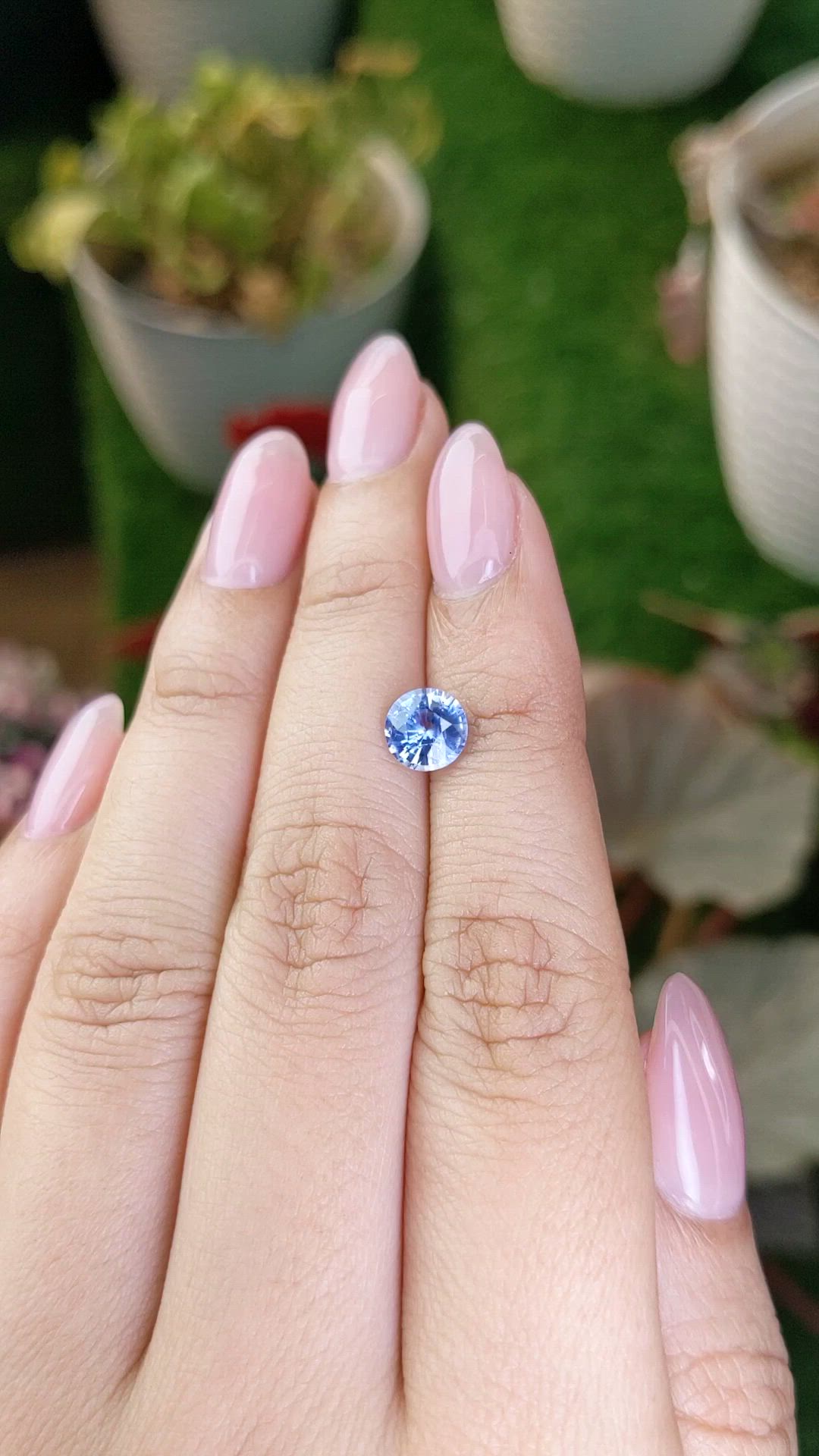 1.42 Ct. Blue Sapphire from Ceylon (Sri Lanka) Size Video