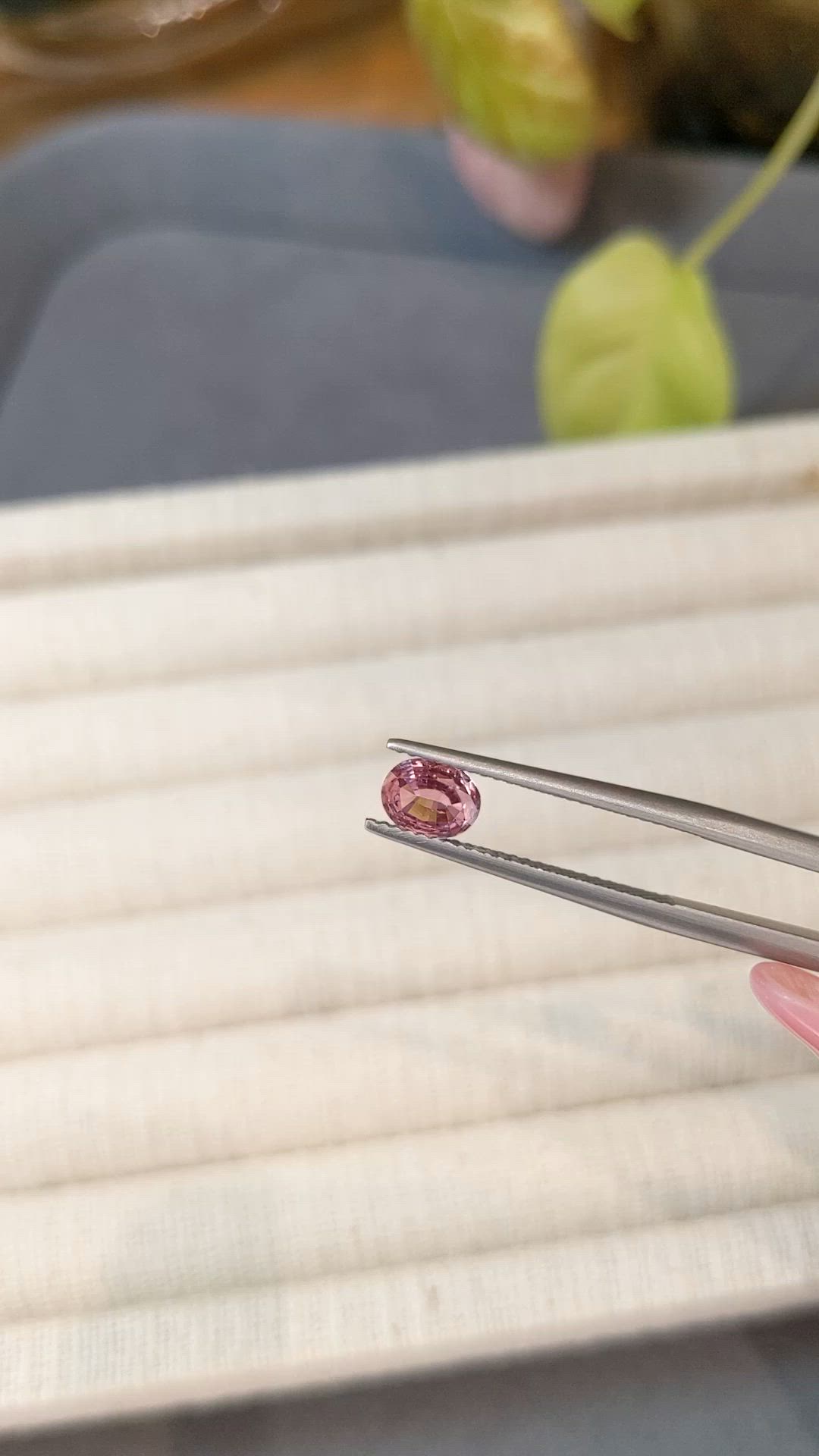 0.60 Ct. Pink Sapphire from Ceylon (Sri Lanka) Size Video
