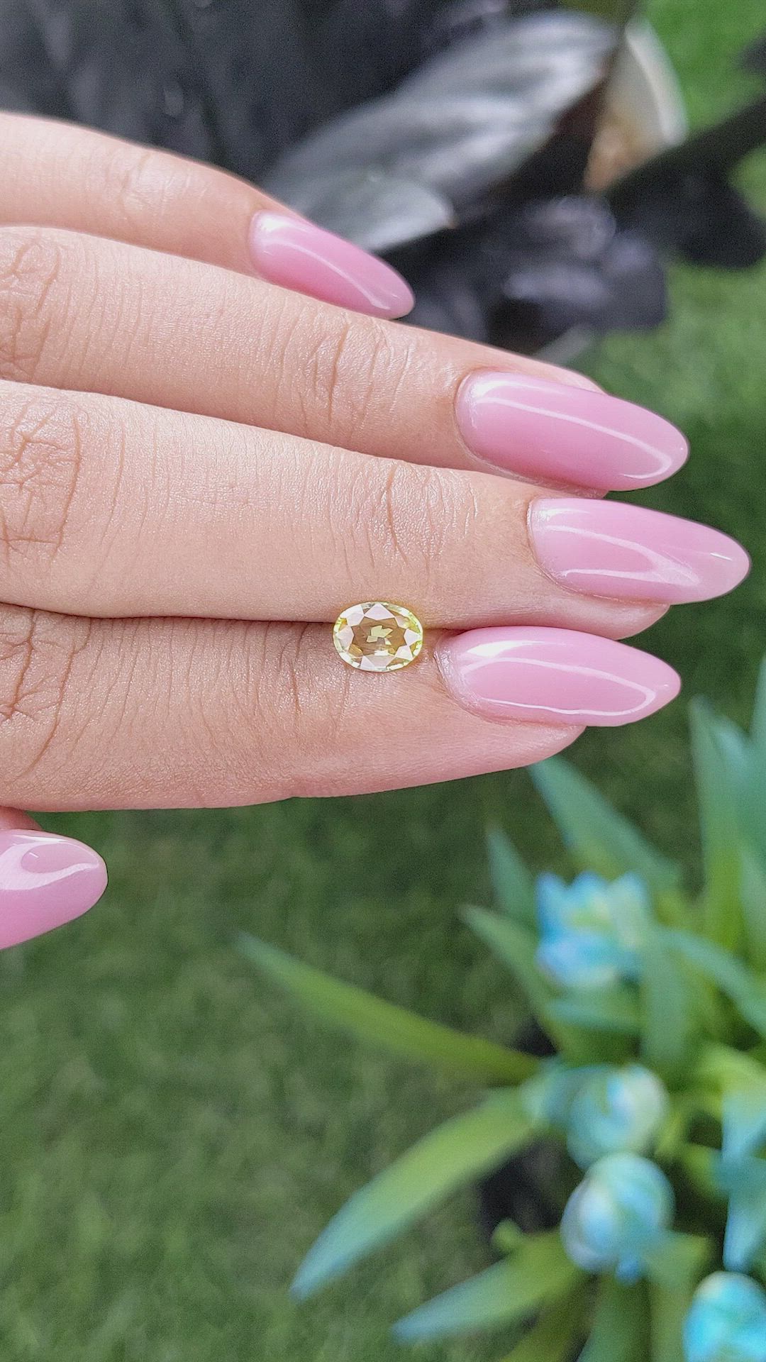0.67 Ct. Yellow Sapphire from Ceylon (Sri Lanka) Size Video