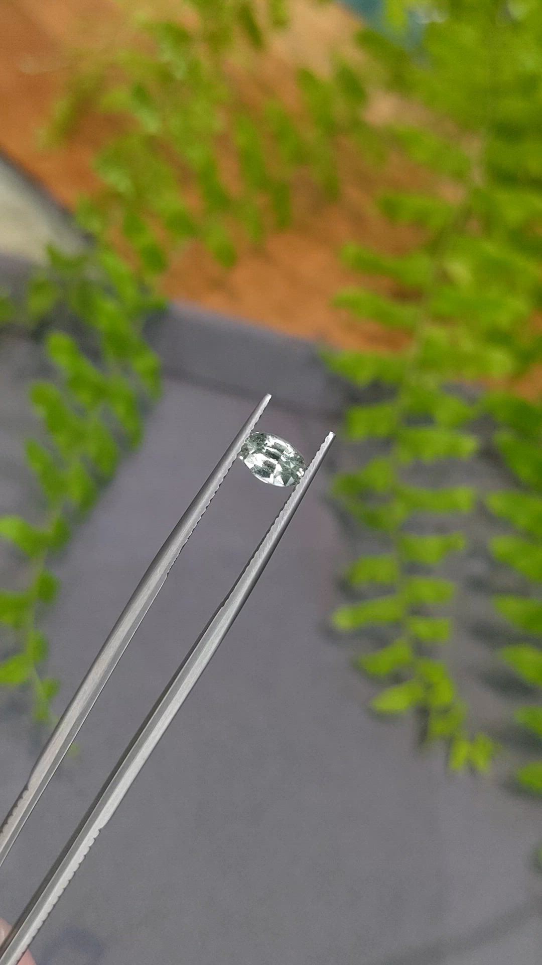 1.05 Ct. Yellowish Green Sapphire from Ceylon (Sri Lanka) Size Video
