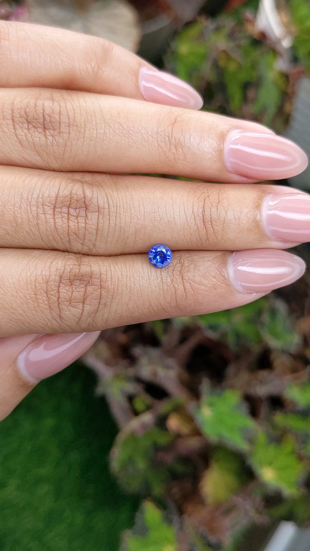 0.48 Ct. Blue Sapphire from Ceylon (Sri Lanka) Size Video