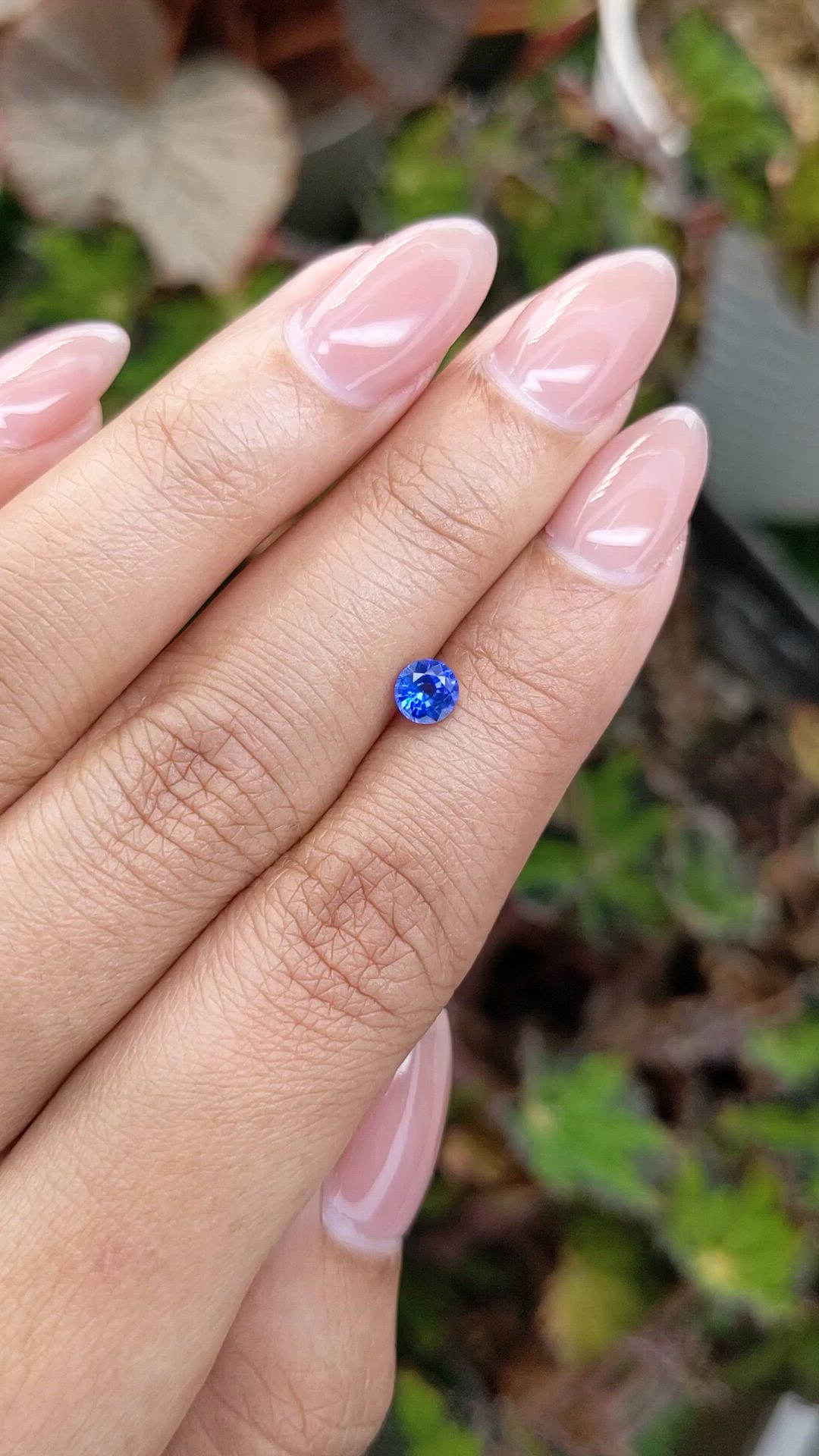 0.48 Ct. Blue Sapphire from Ceylon (Sri Lanka) Size Video