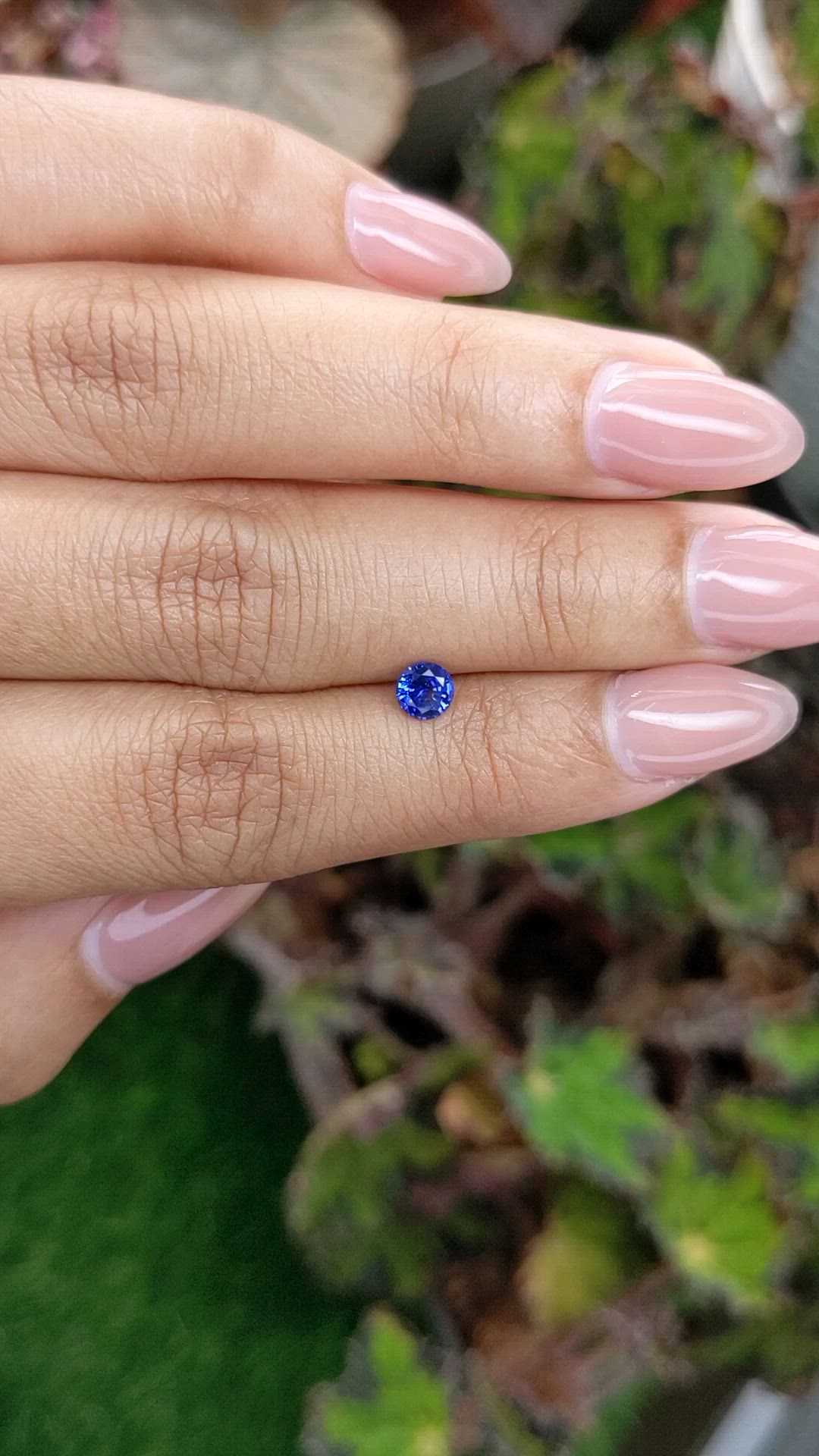 0.46 Ct. Blue Sapphire from Ceylon (Sri Lanka) Size Video