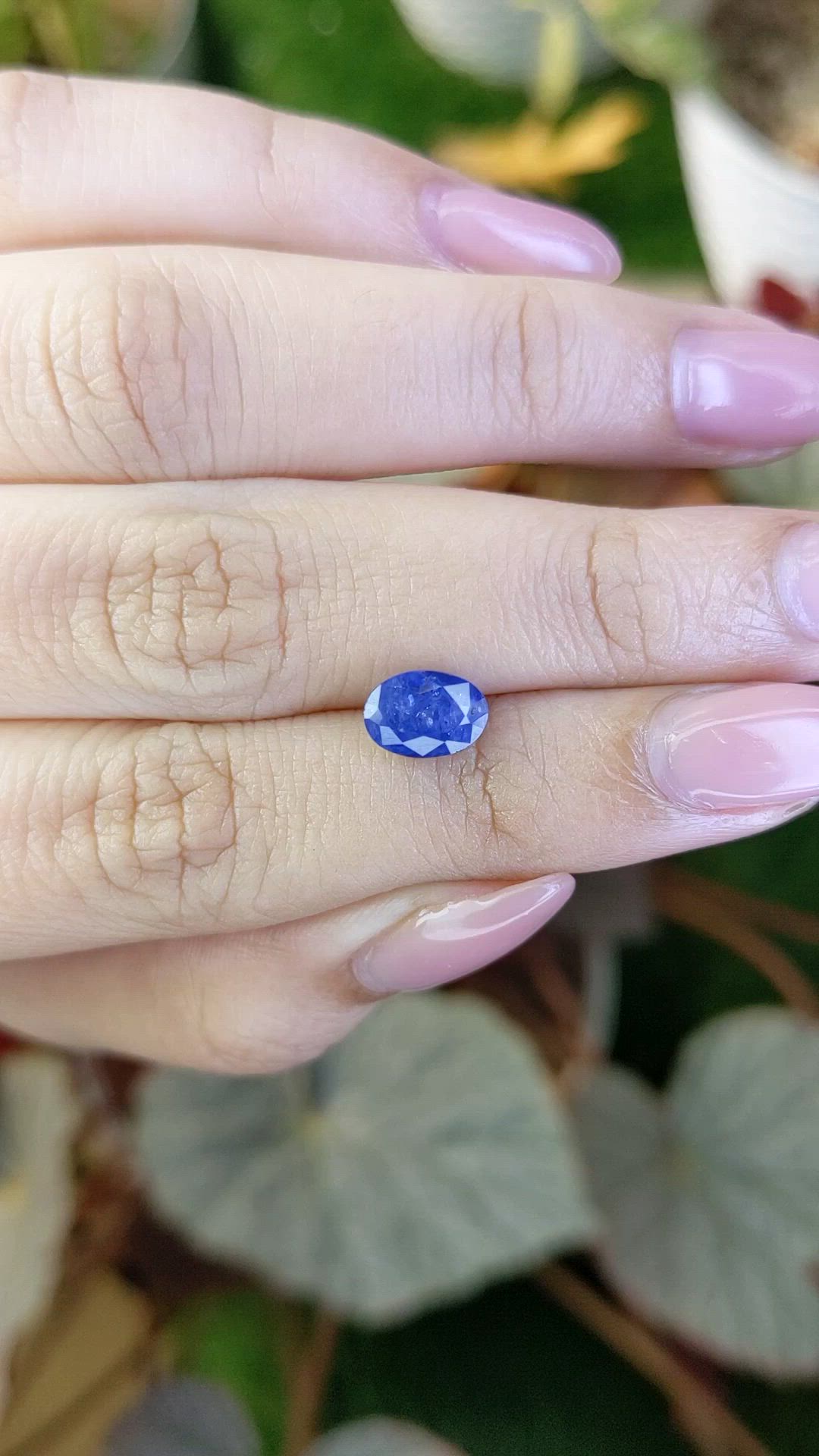 1.95 Ct. Blue Sapphire from Ceylon (Sri Lanka) Size Video
