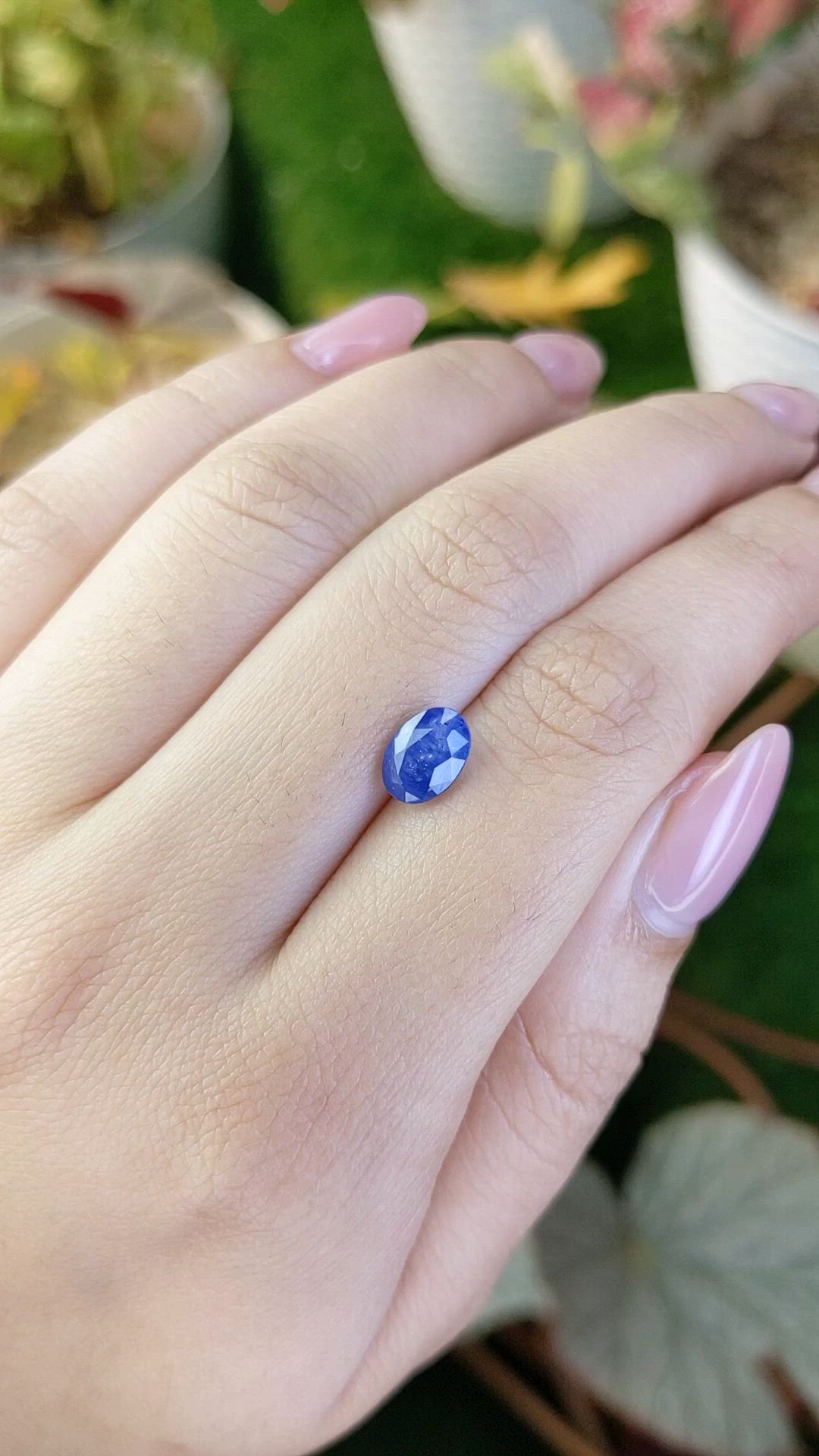 1.95 Ct. Blue Sapphire from Ceylon (Sri Lanka) Size Video