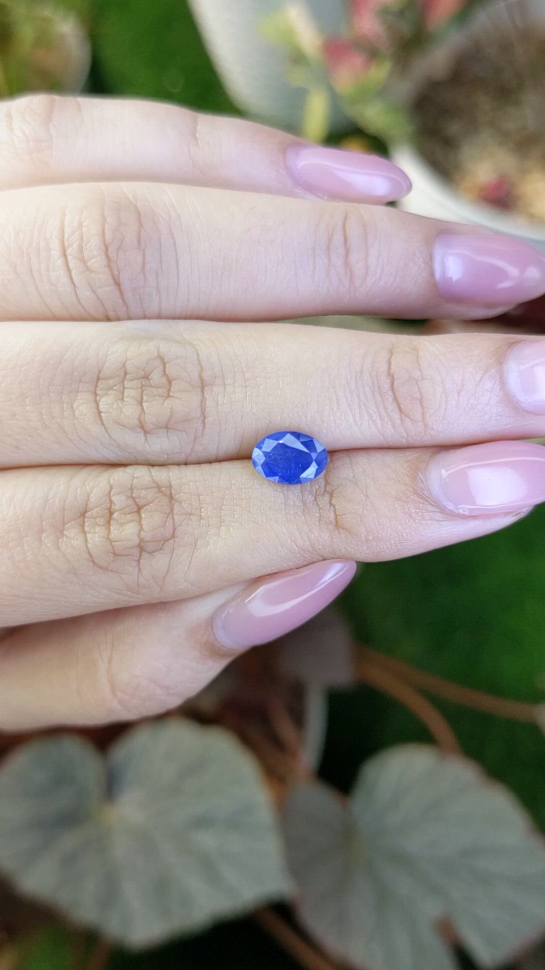 1.51 Ct. Blue Sapphire from Ceylon (Sri Lanka) Size Video