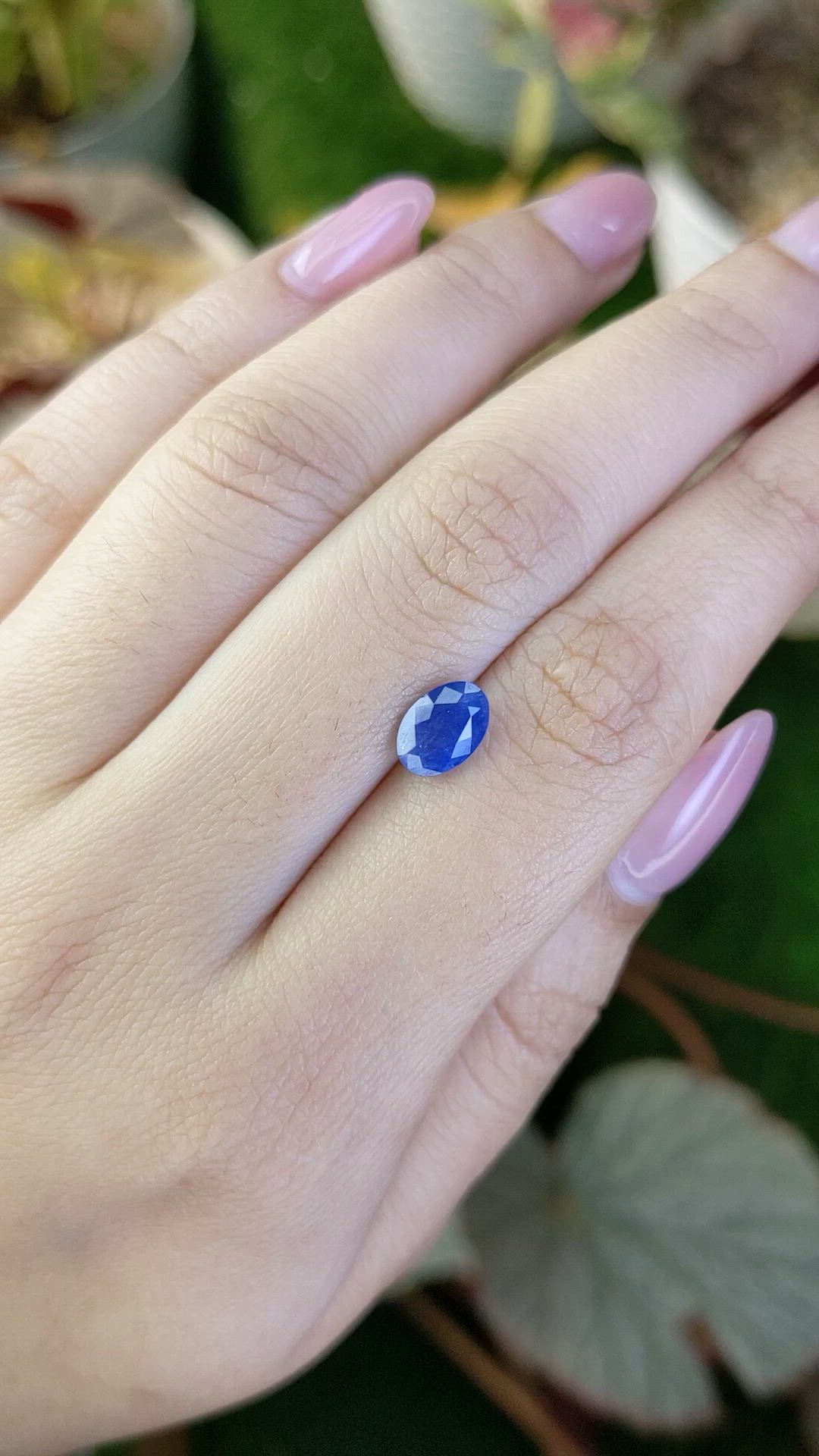 1.51 Ct. Blue Sapphire from Ceylon (Sri Lanka) Size Video