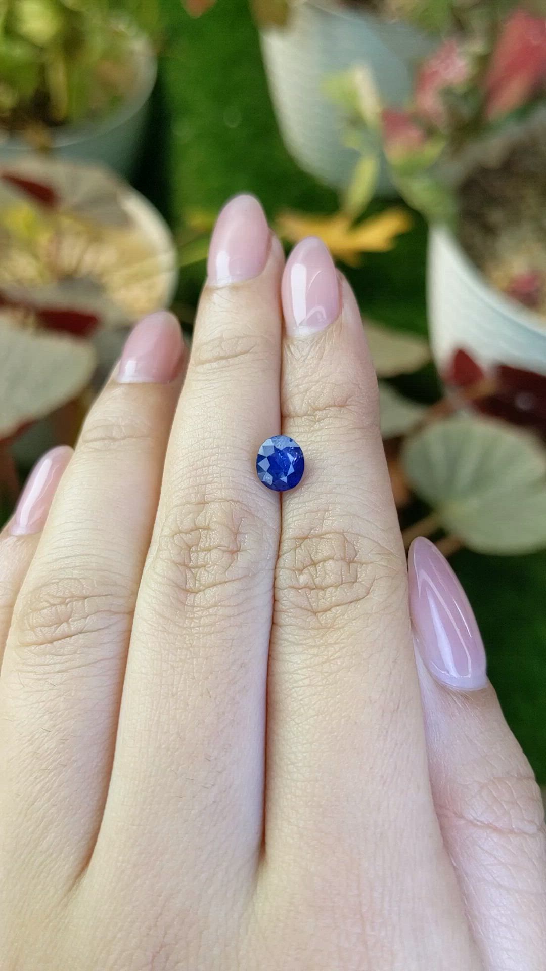 1.59 Ct. Blue Sapphire from Ceylon (Sri Lanka) Size Video