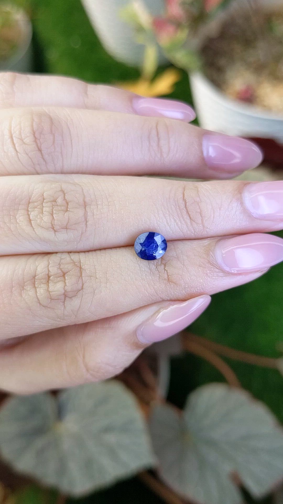 1.59 Ct. Blue Sapphire from Ceylon (Sri Lanka) Size Video