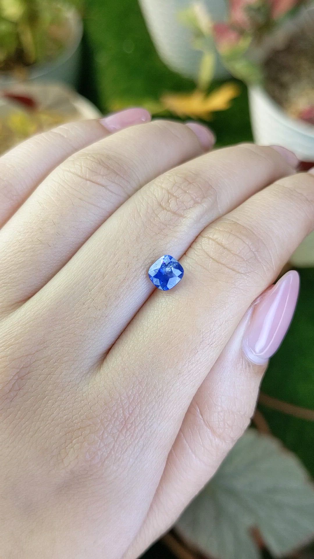 1.46 Ct. Blue Sapphire from Ceylon (Sri Lanka) Size Video