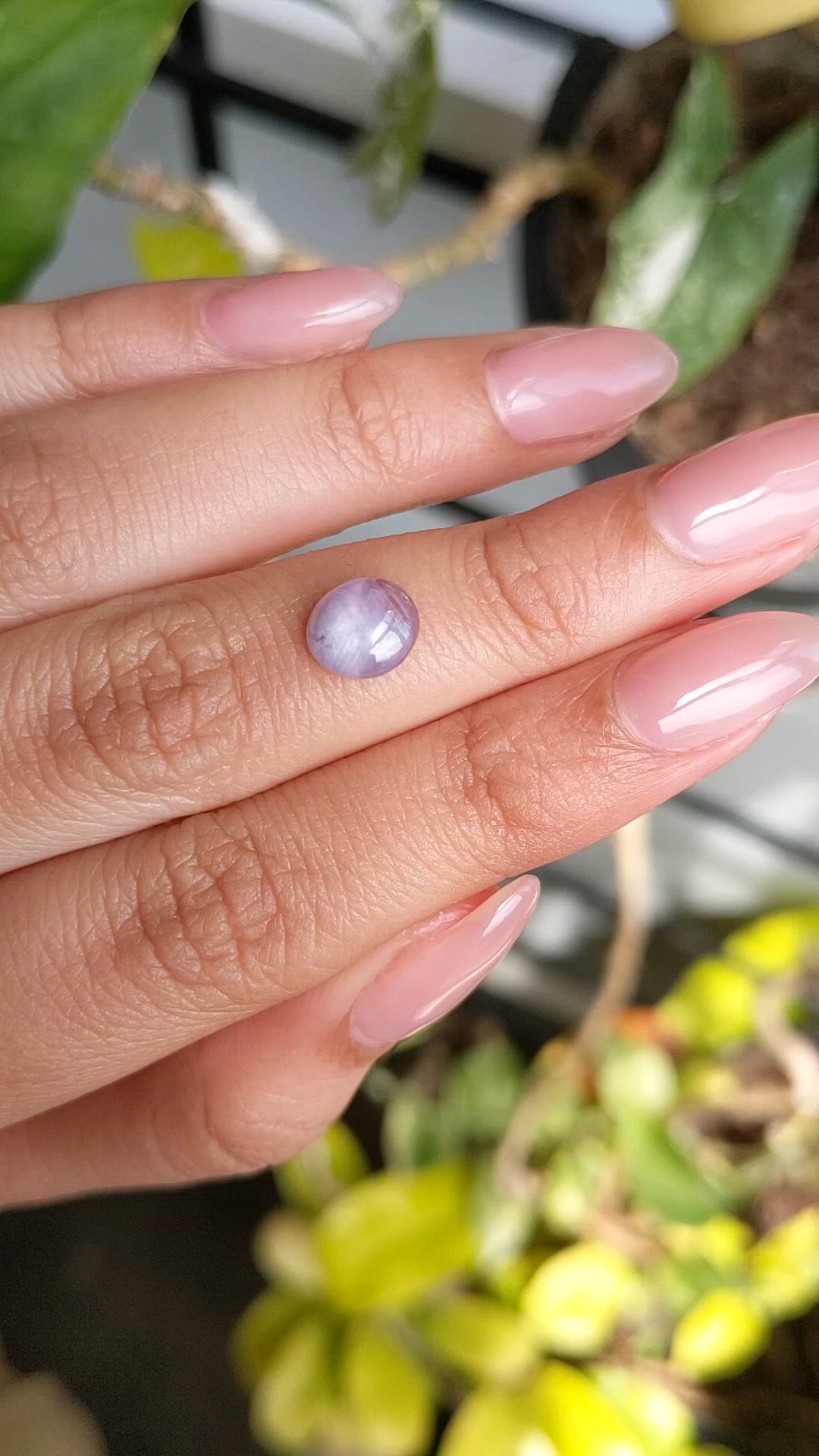 1.83 Ct. Purple Star Sapphire from Ceylon (Sri Lanka) Size Video