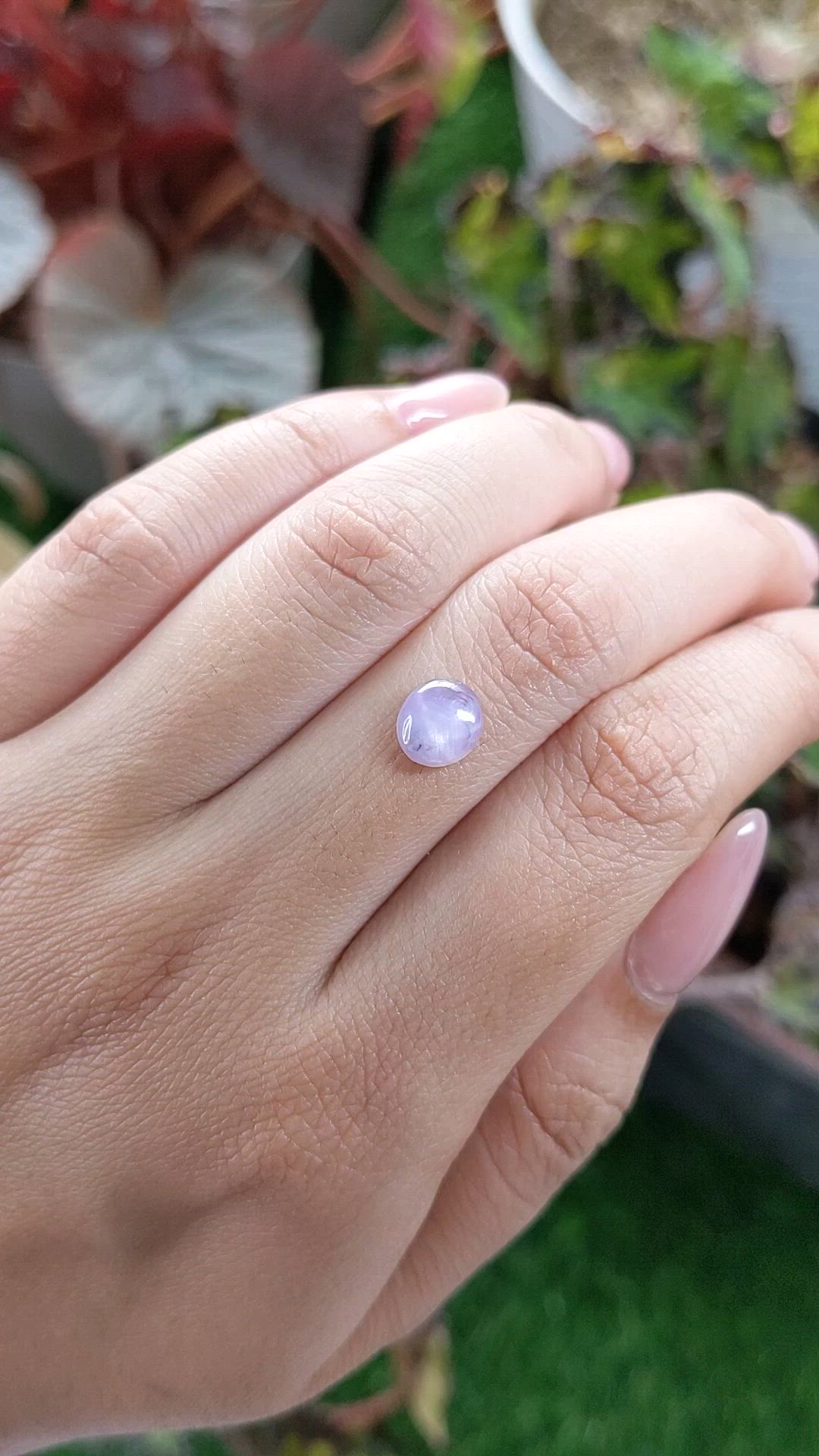 1.83 Ct. Purple Star Sapphire from Ceylon (Sri Lanka) Size Video