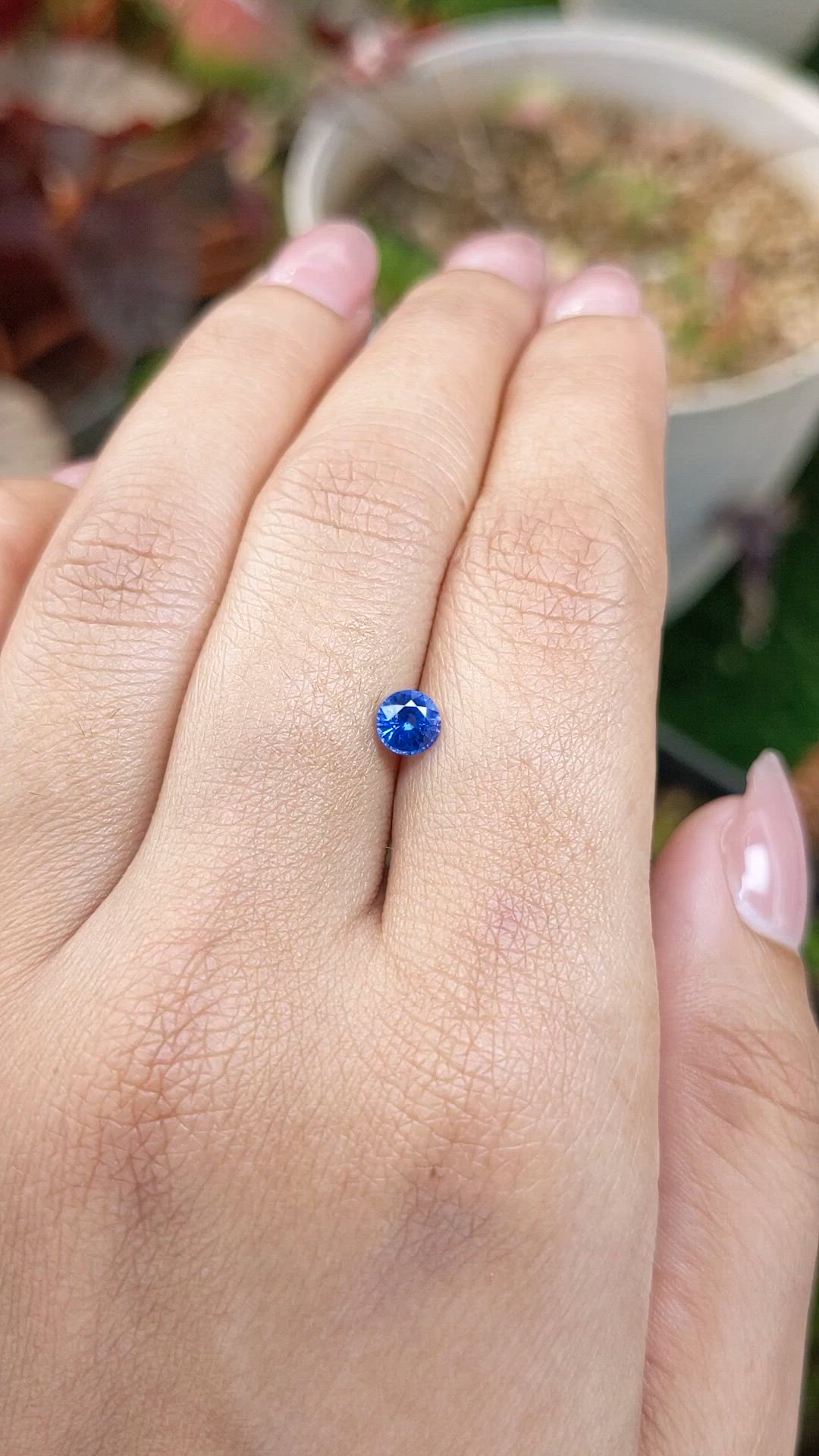 0.53 Ct. Blue Sapphire from Ceylon (Sri Lanka) Size Video