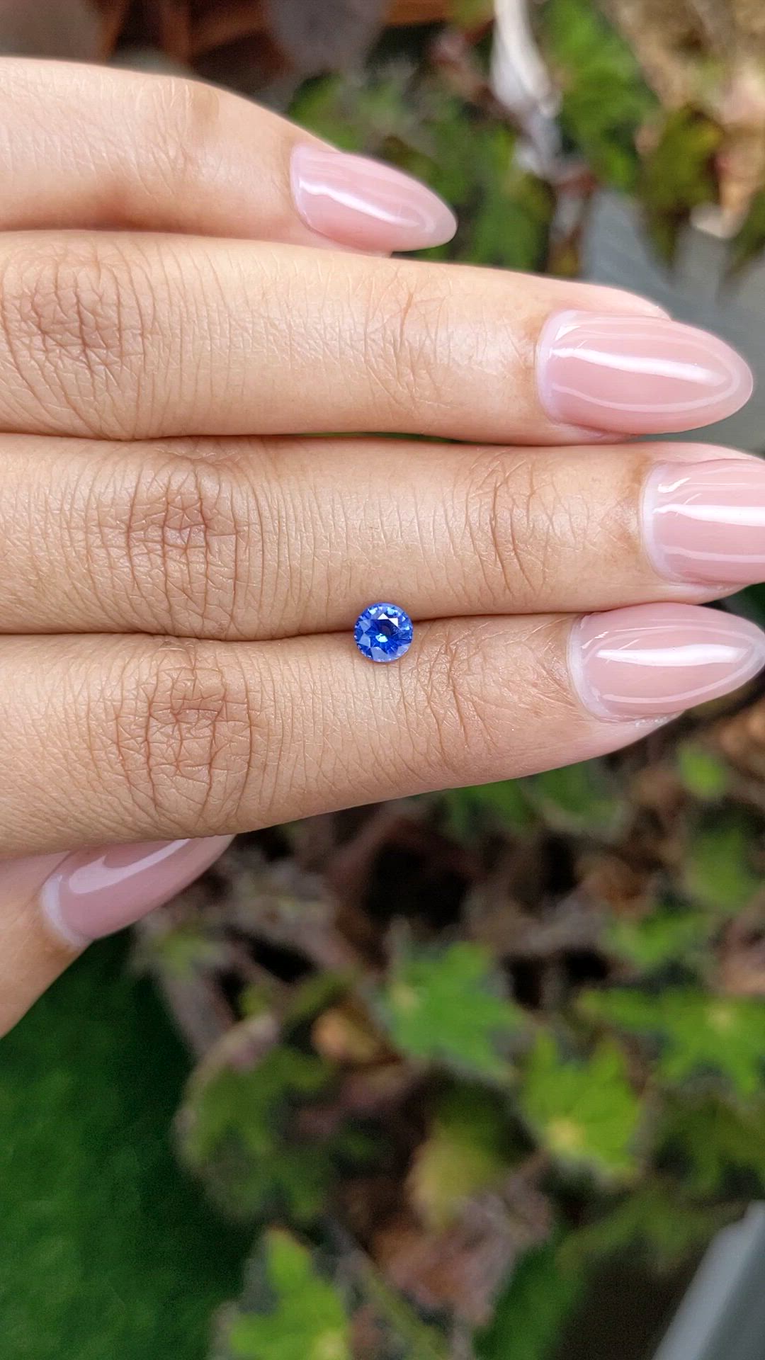 0.53 Ct. Blue Sapphire from Ceylon (Sri Lanka) Size Video