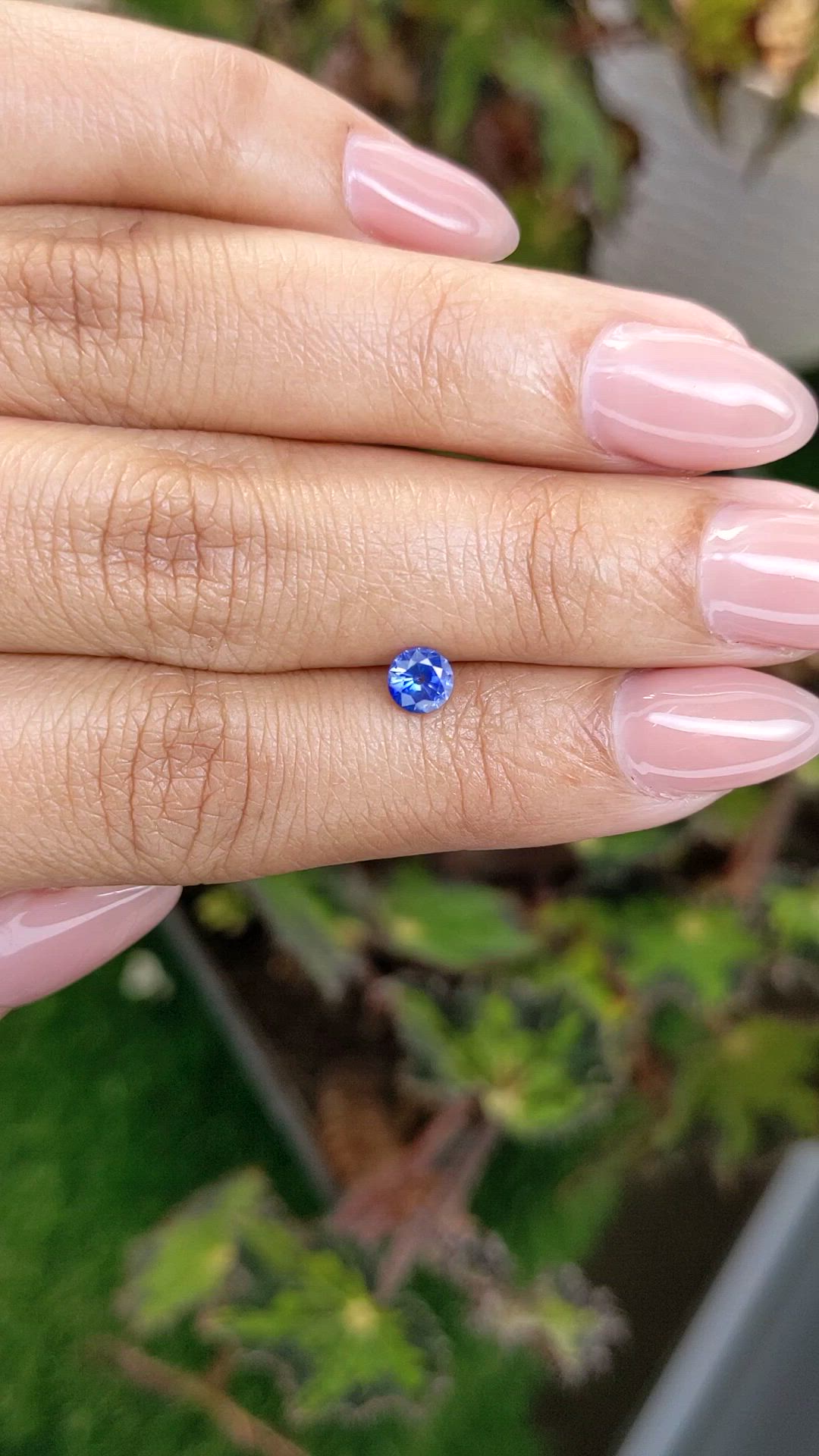 0.51 Ct. Blue Sapphire from Ceylon (Sri Lanka) Size Video