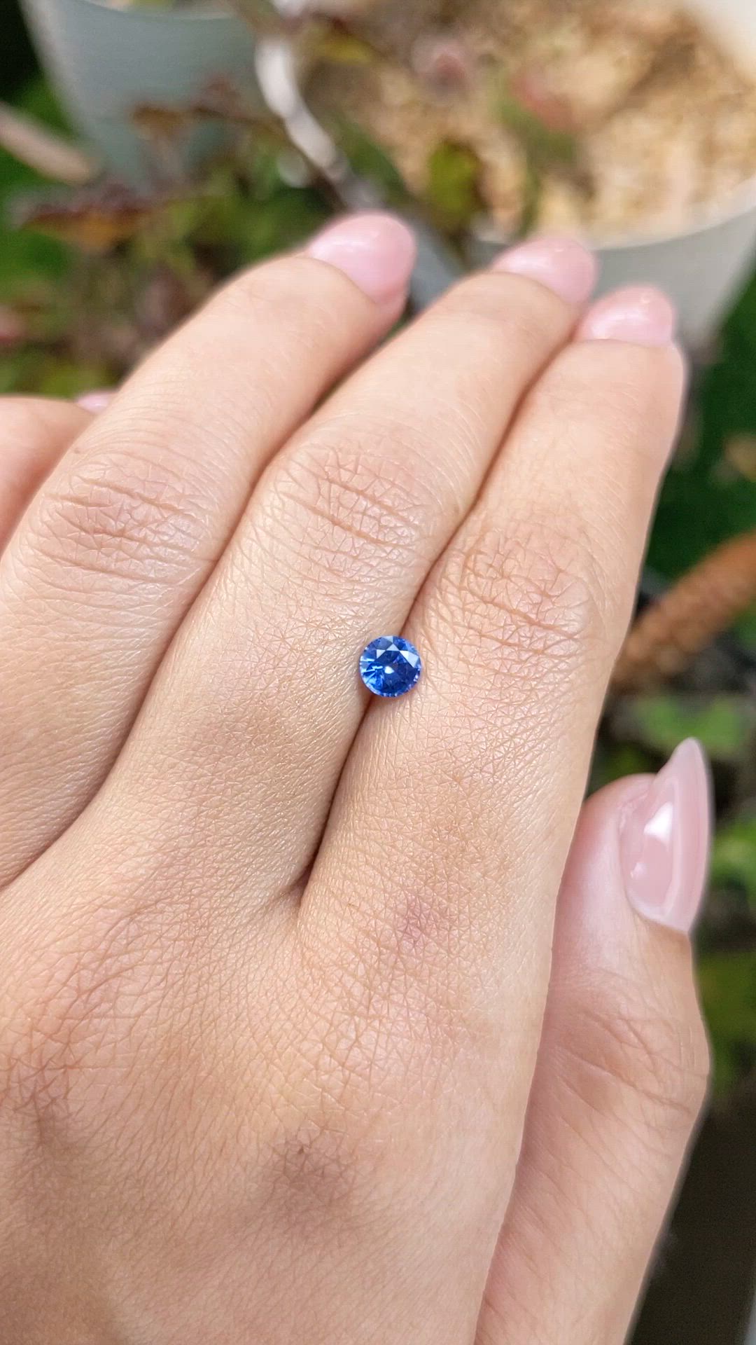 0.53 Ct. Blue Sapphire from Ceylon (Sri Lanka) Size Video