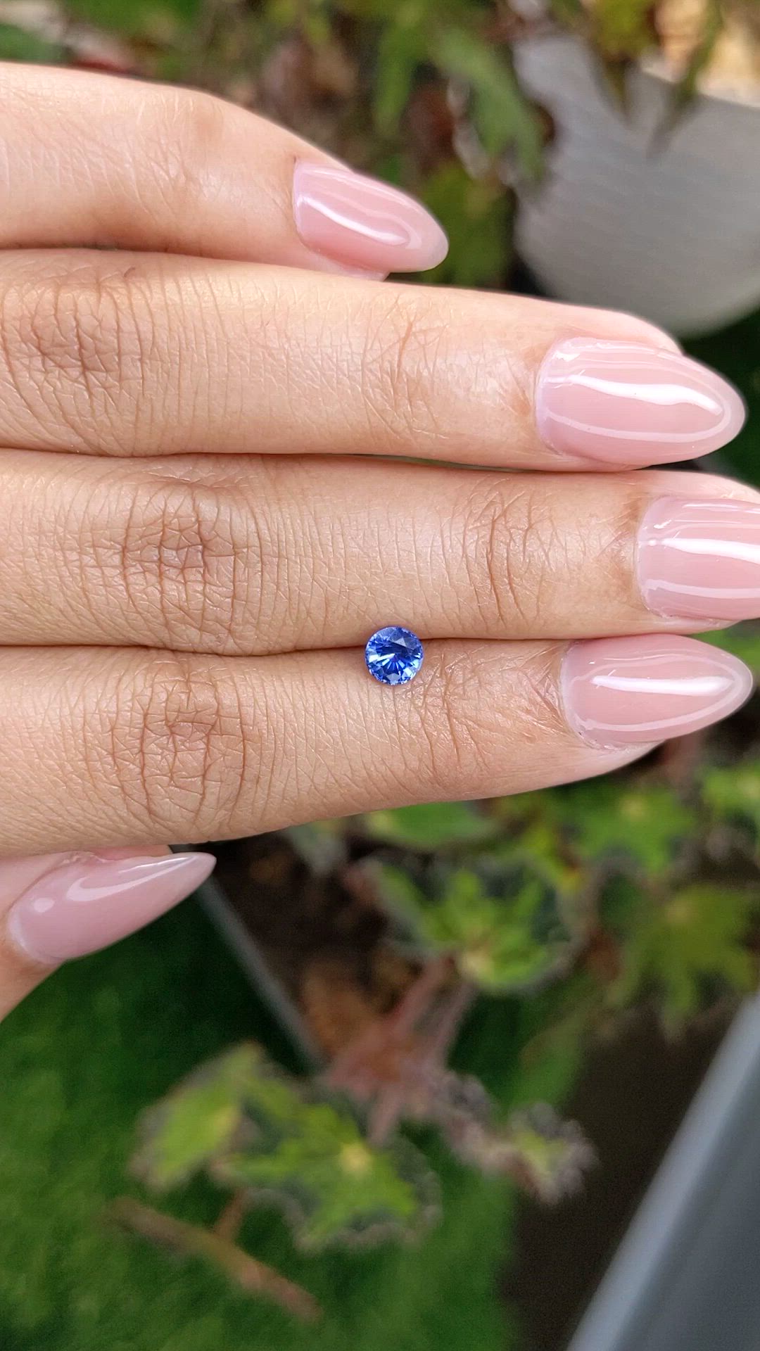 0.53 Ct. Blue Sapphire from Ceylon (Sri Lanka) Size Video