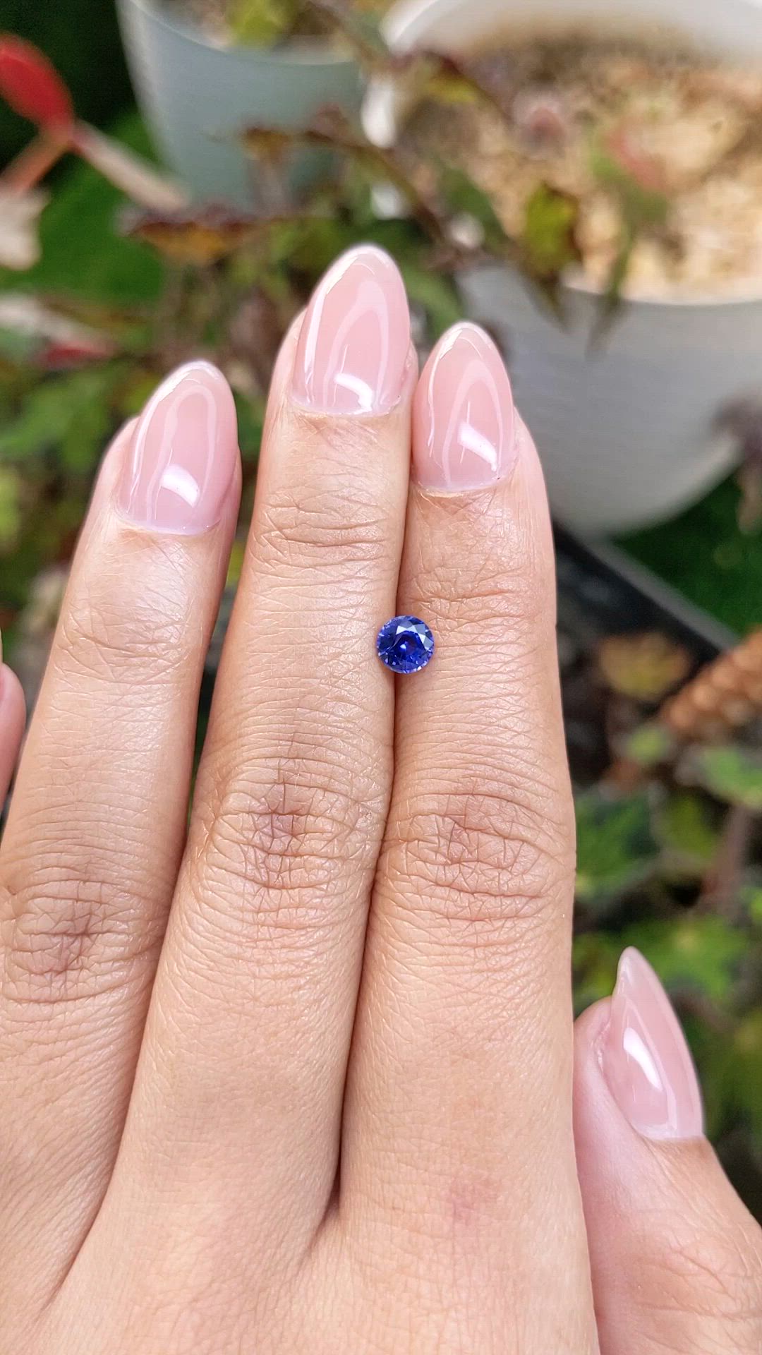 0.54 Ct. Blue Sapphire from Ceylon (Sri Lanka) Size Video