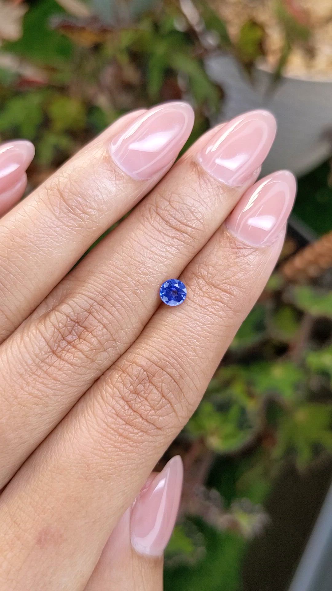 0.50 Ct. Blue Sapphire from Ceylon (Sri Lanka) Size Video