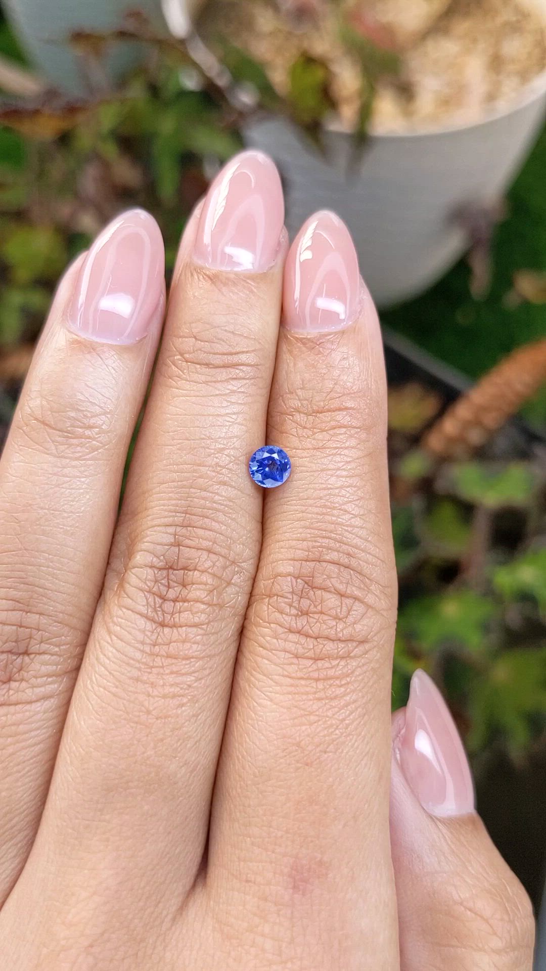 0.50 Ct. Blue Sapphire from Ceylon (Sri Lanka) Size Video