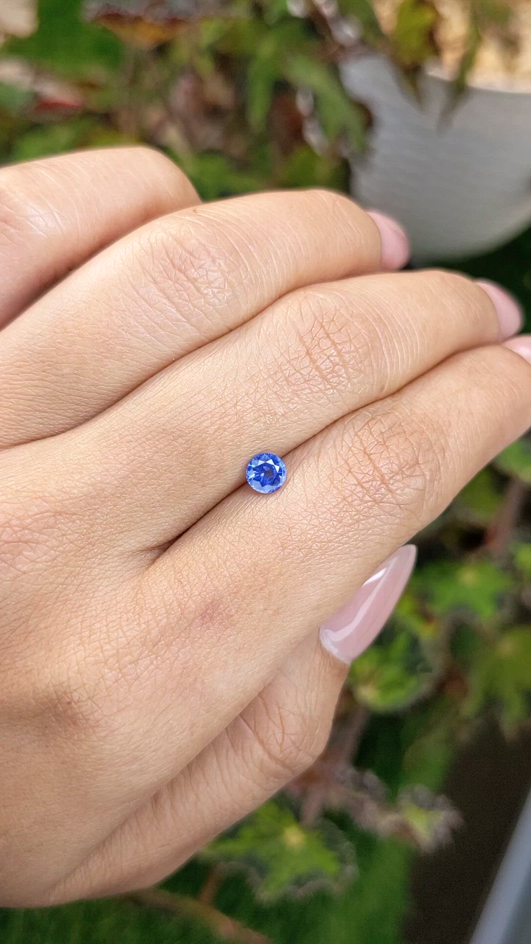 0.50 Ct. Blue Sapphire from Ceylon (Sri Lanka) Size Video