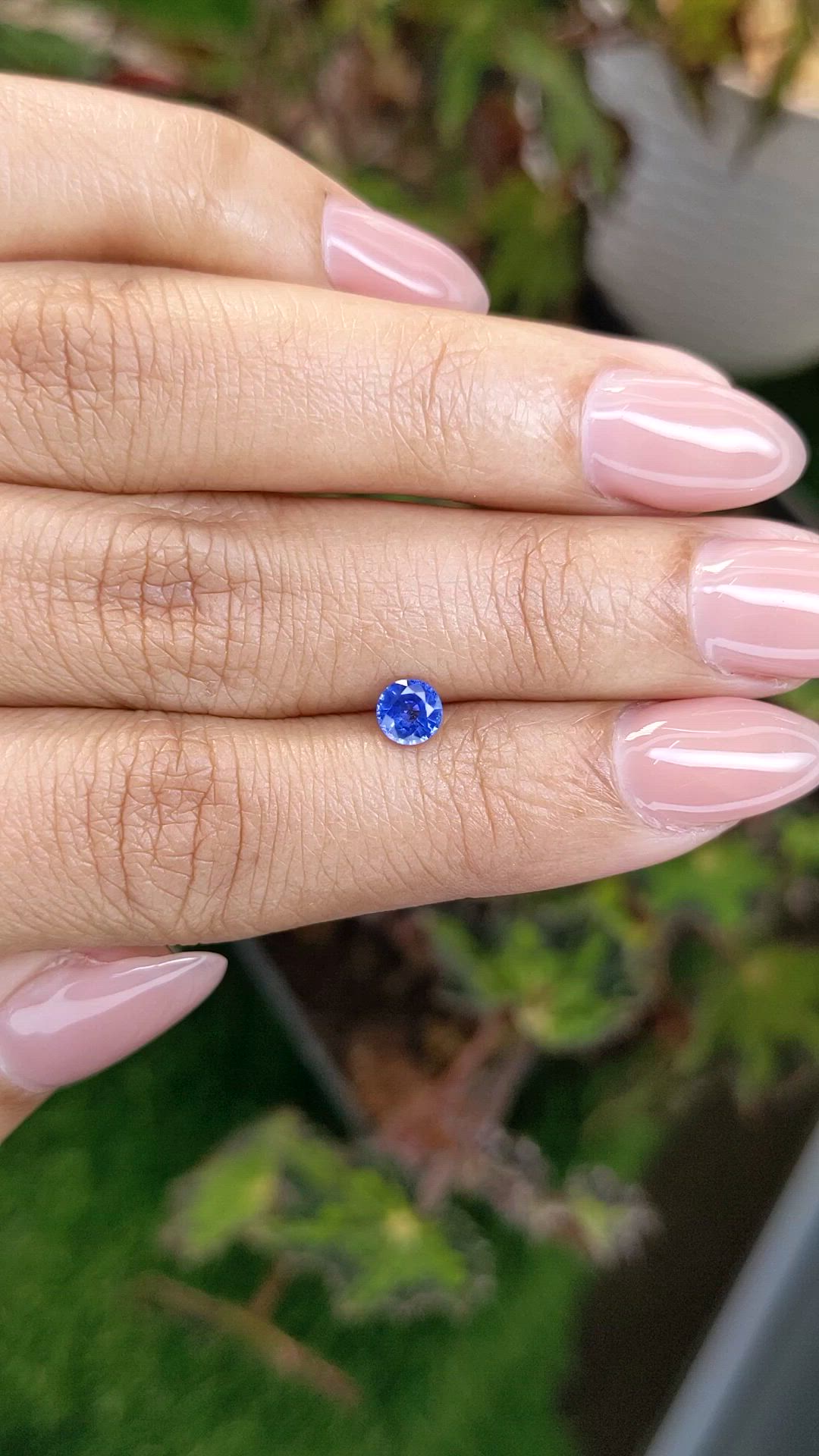 0.50 Ct. Blue Sapphire from Ceylon (Sri Lanka) Size Video