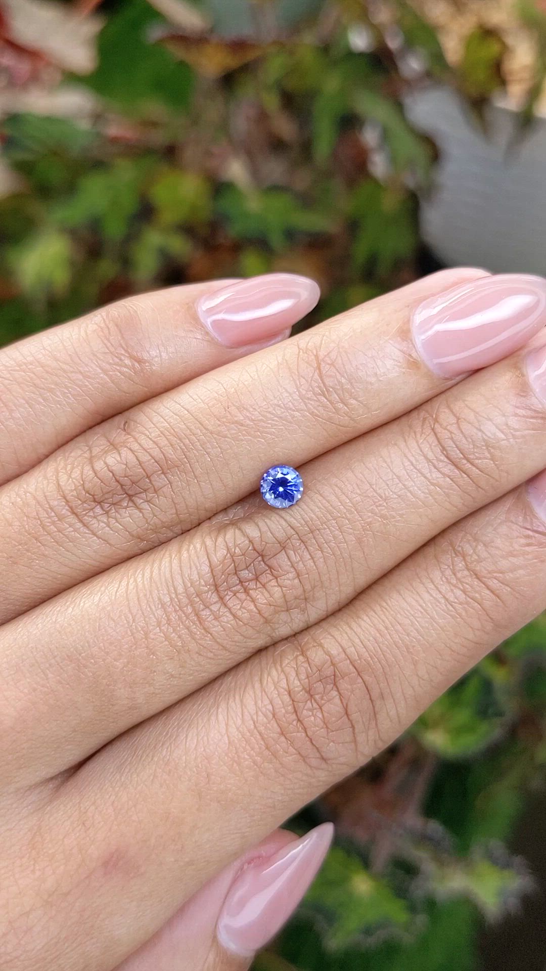 0.53 Ct. Blue Sapphire from Ceylon (Sri Lanka) Size Video
